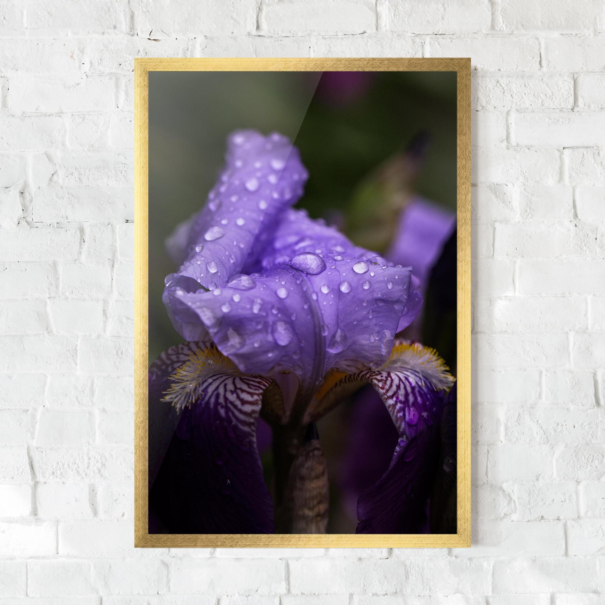 Gerahmte Poster Rain In The Garden mockup 0