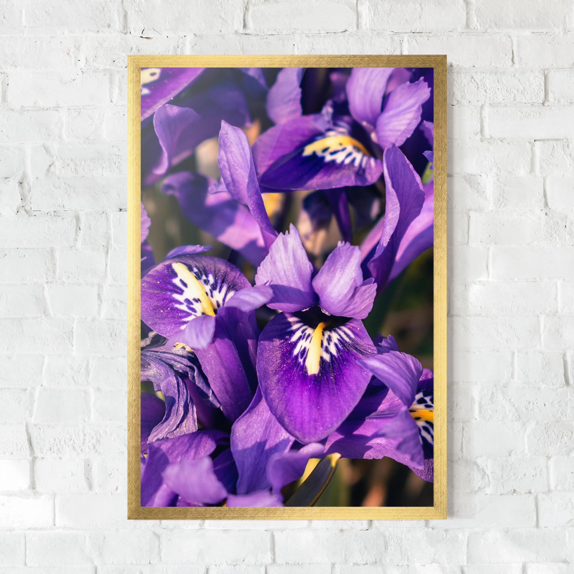 Gerahmte Poster Small Purple Iris mockup 0