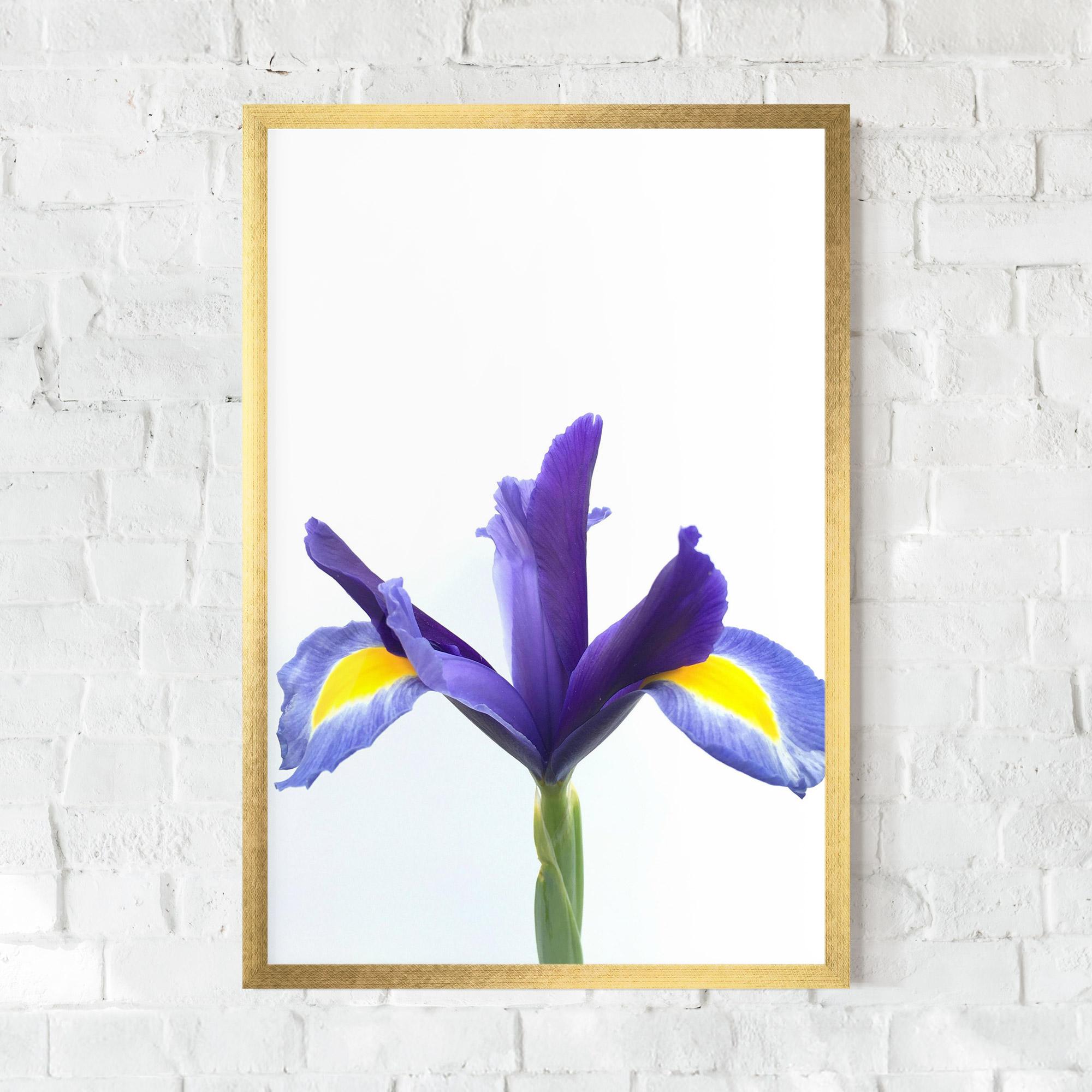 Gerahmte Poster Yellow Color Iris mockup 0
