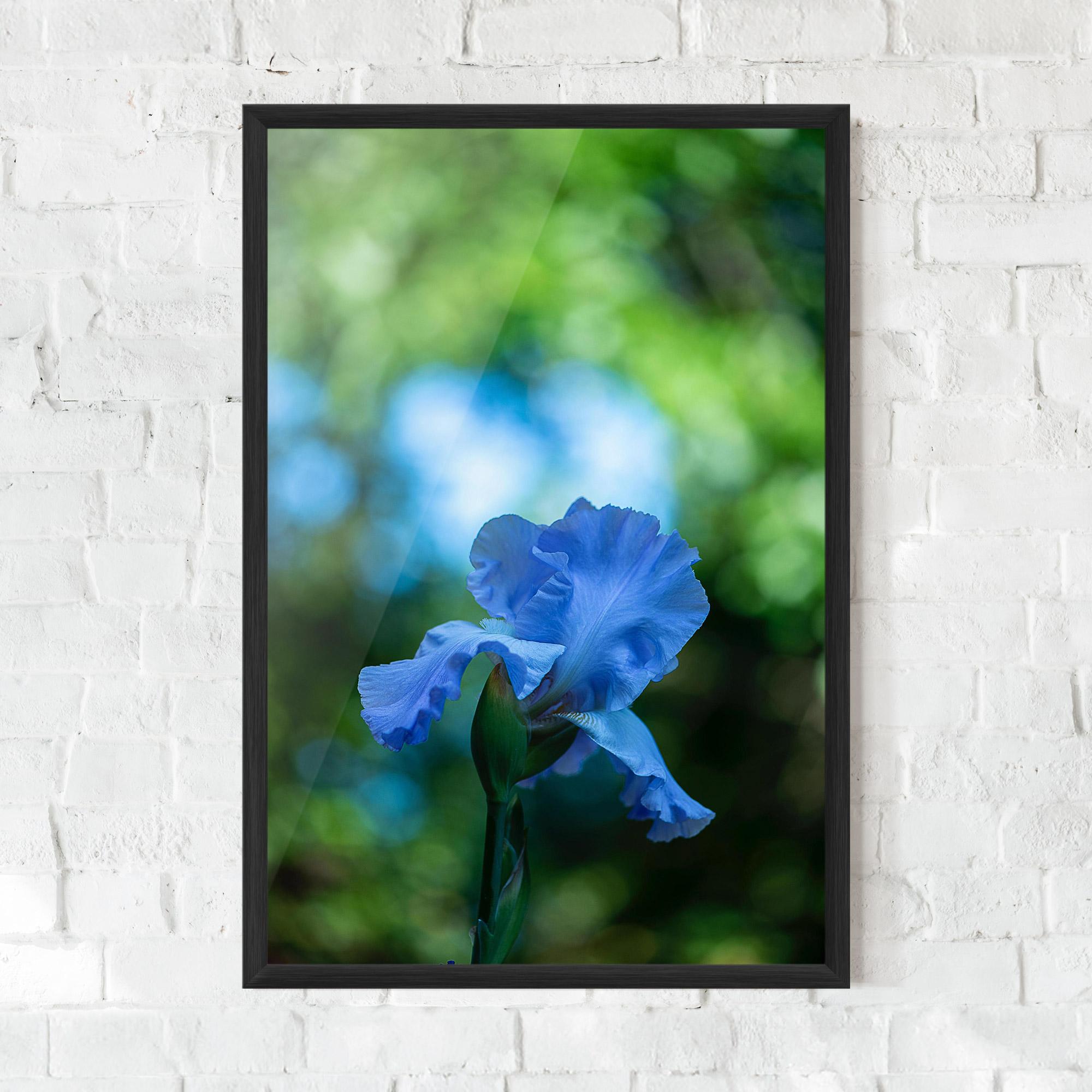 Gerahmte Poster Blue Iris In The Garden mockup 0