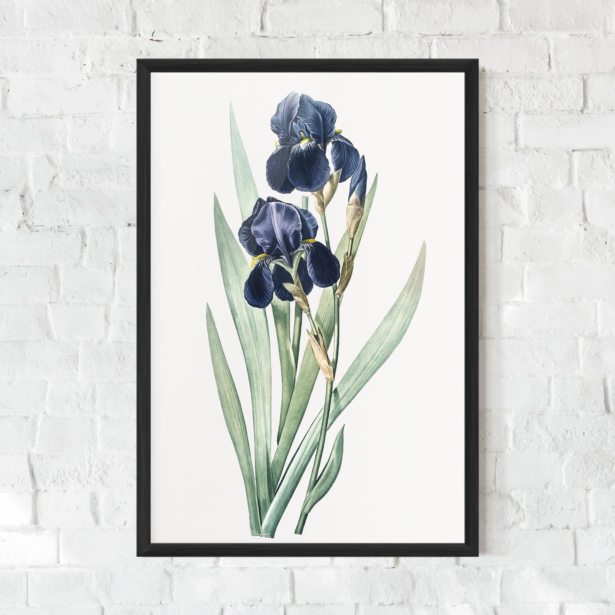 Gerahmte Poster Dark Blue Iris mockup 0