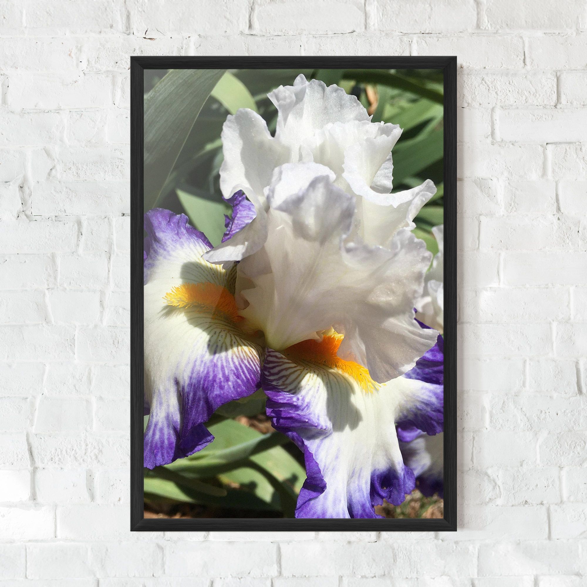 Garden White Purple Irirs mockup 0