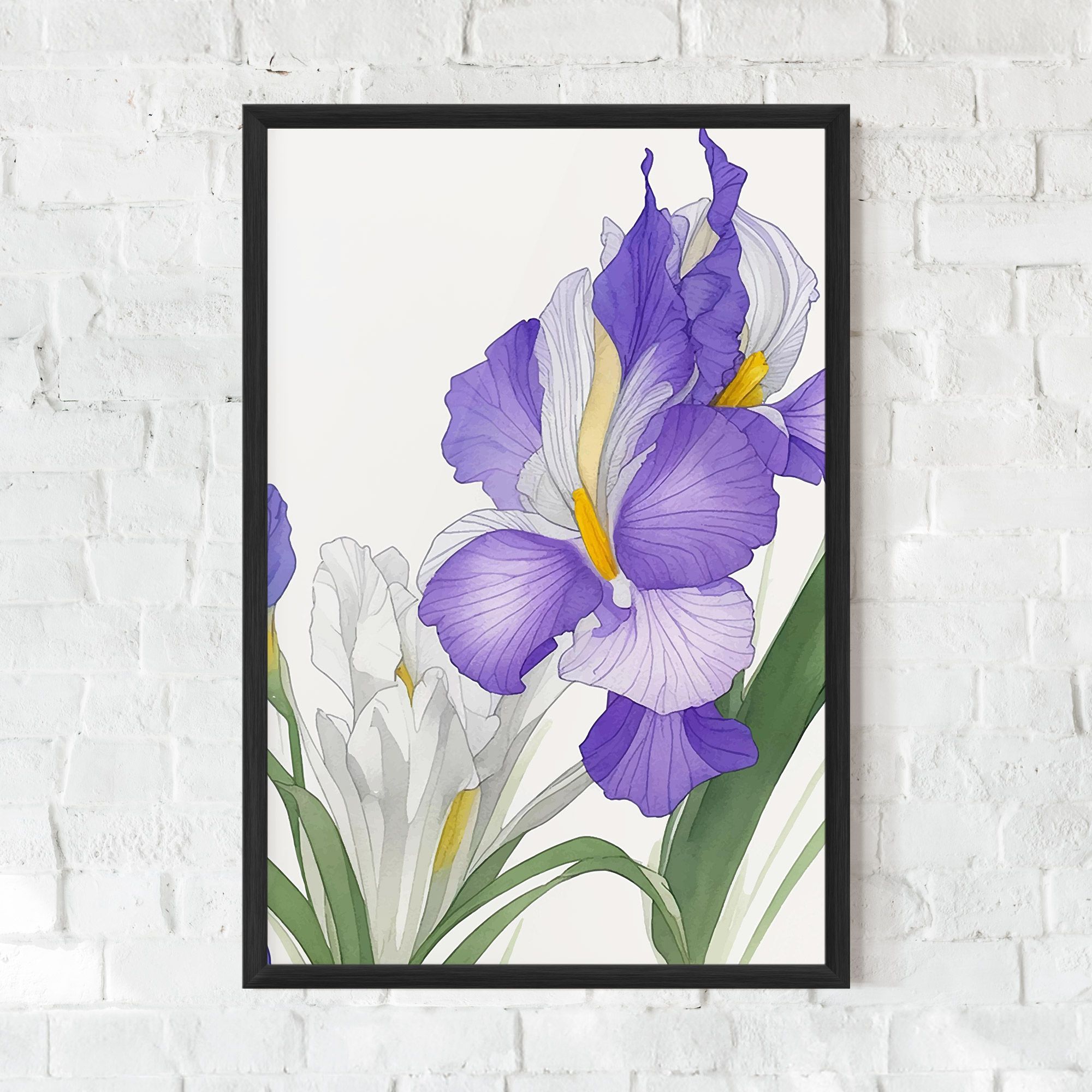 Irirs Hand Drawn mockup 0