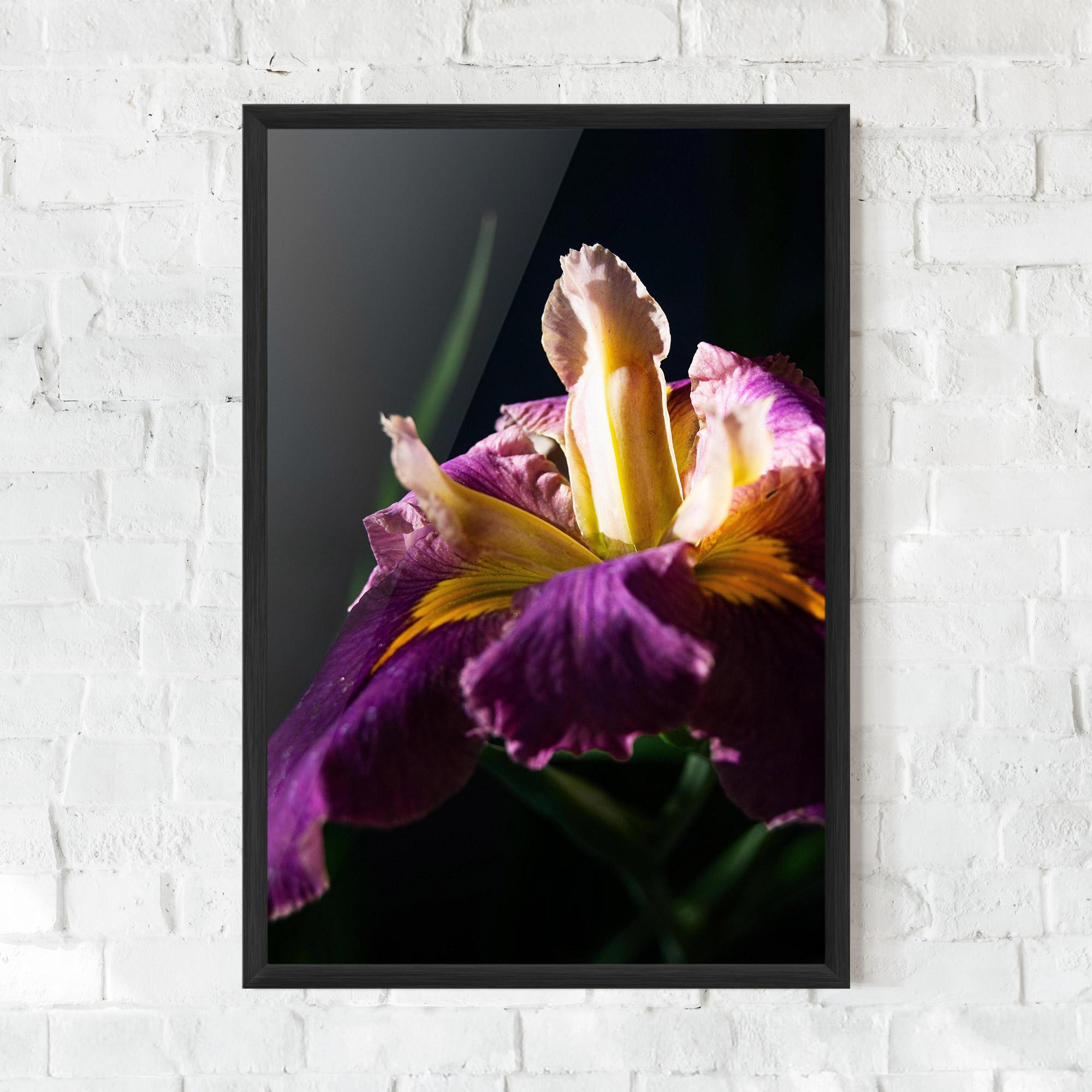 Gerahmte Poster Pastel Yellow Iris mockup 0