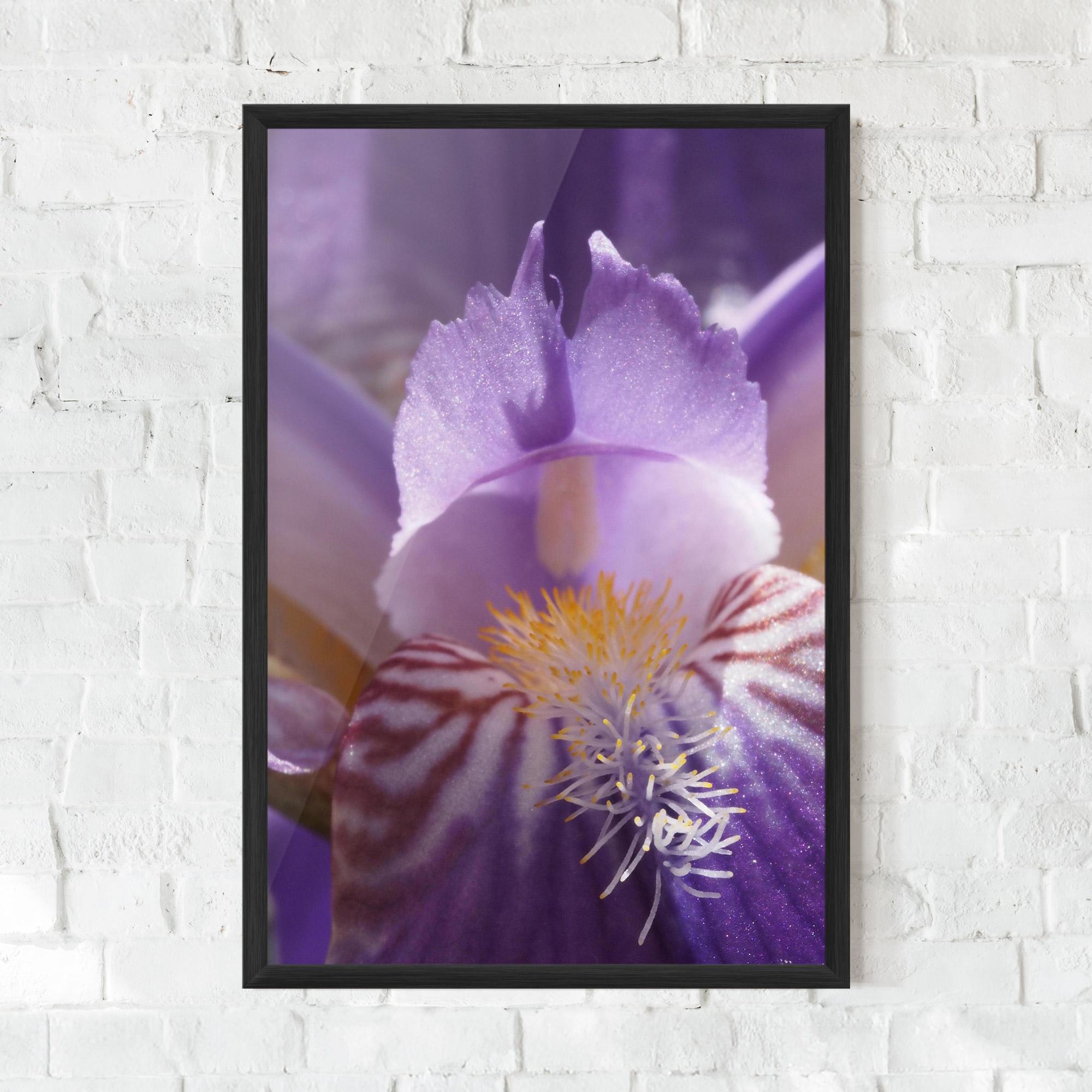 Gerahmte Poster Purple Iris Close Up mockup 0