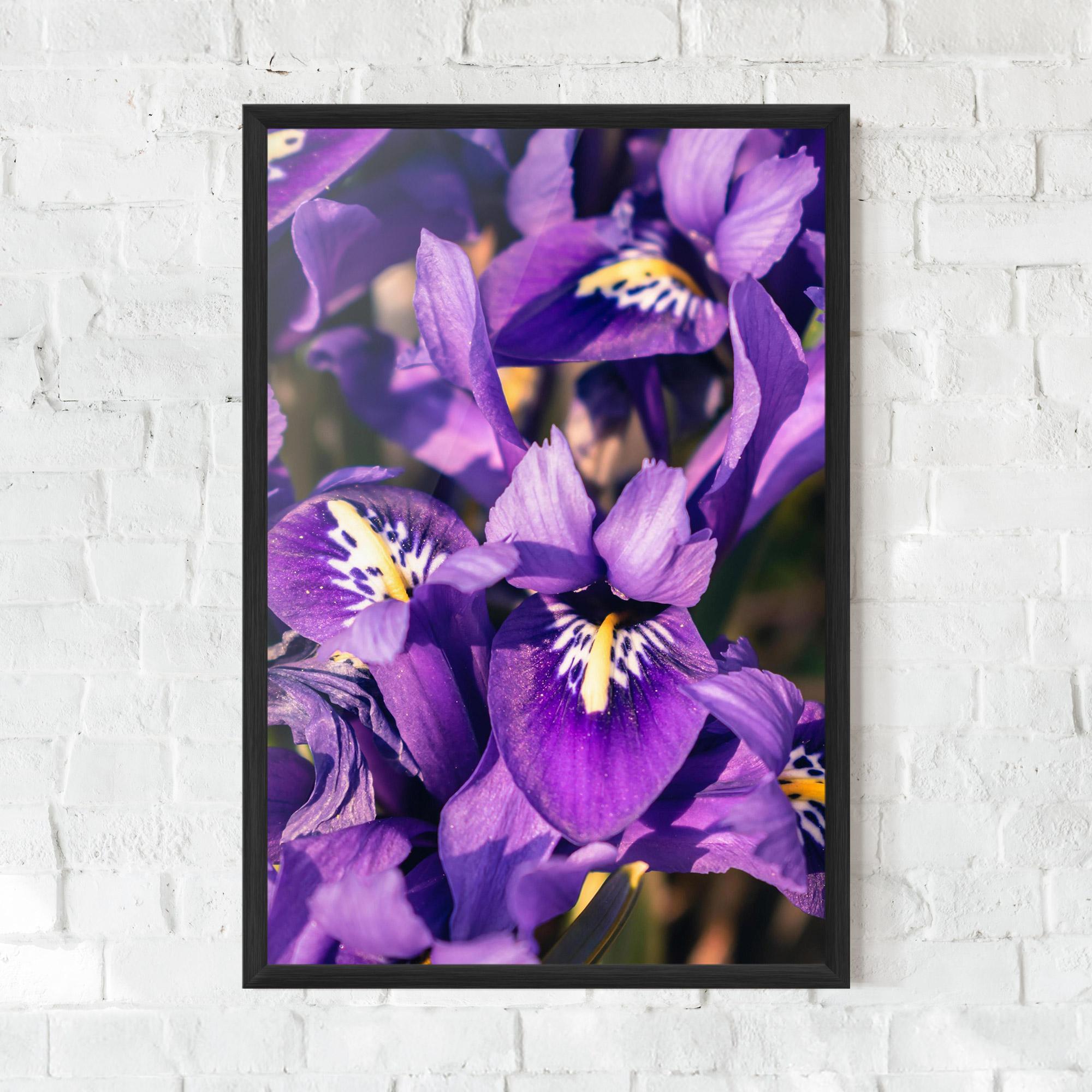 Gerahmte Poster Small Purple Iris mockup 0