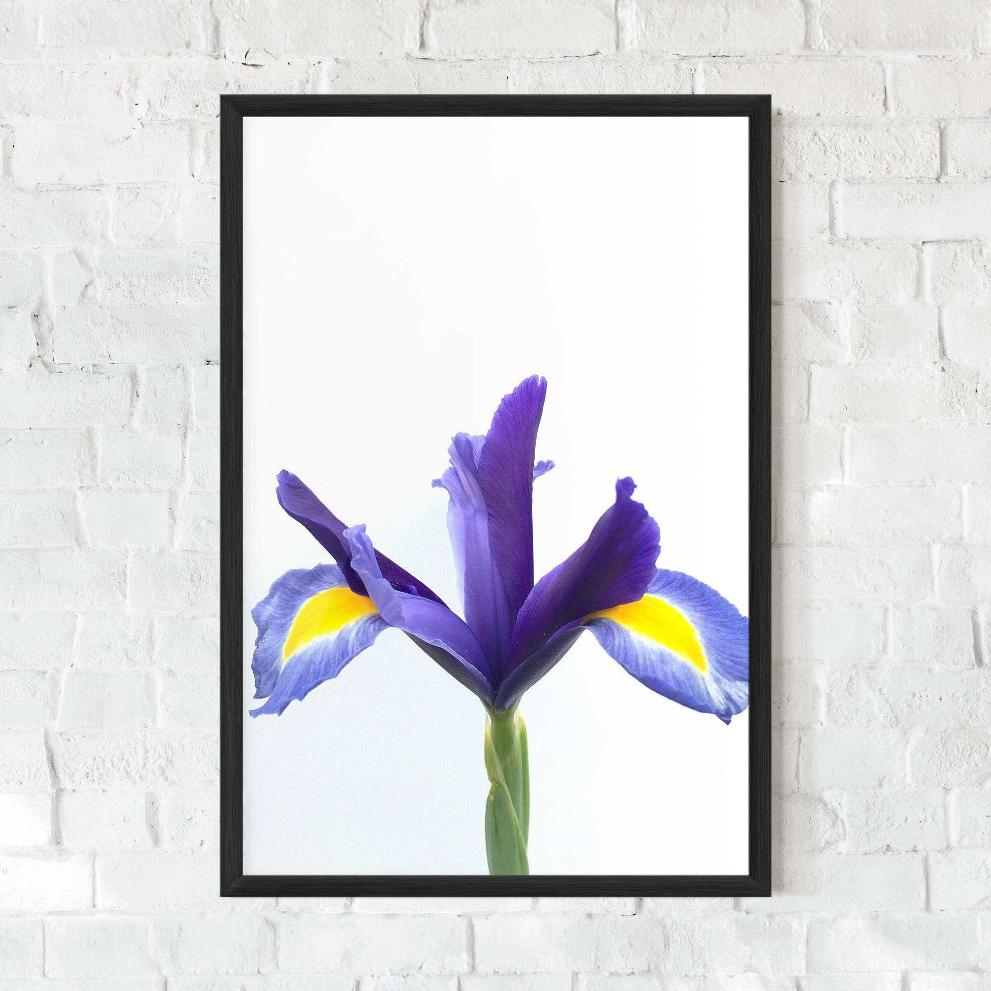 Gerahmte Poster Yellow Color Iris mockup 0