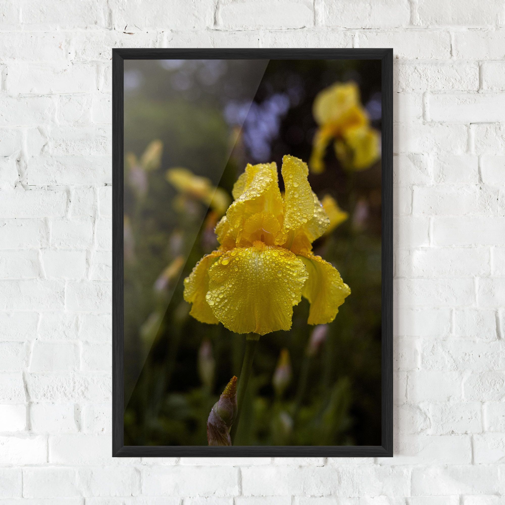 Yellow Iris After Rain mockup 0