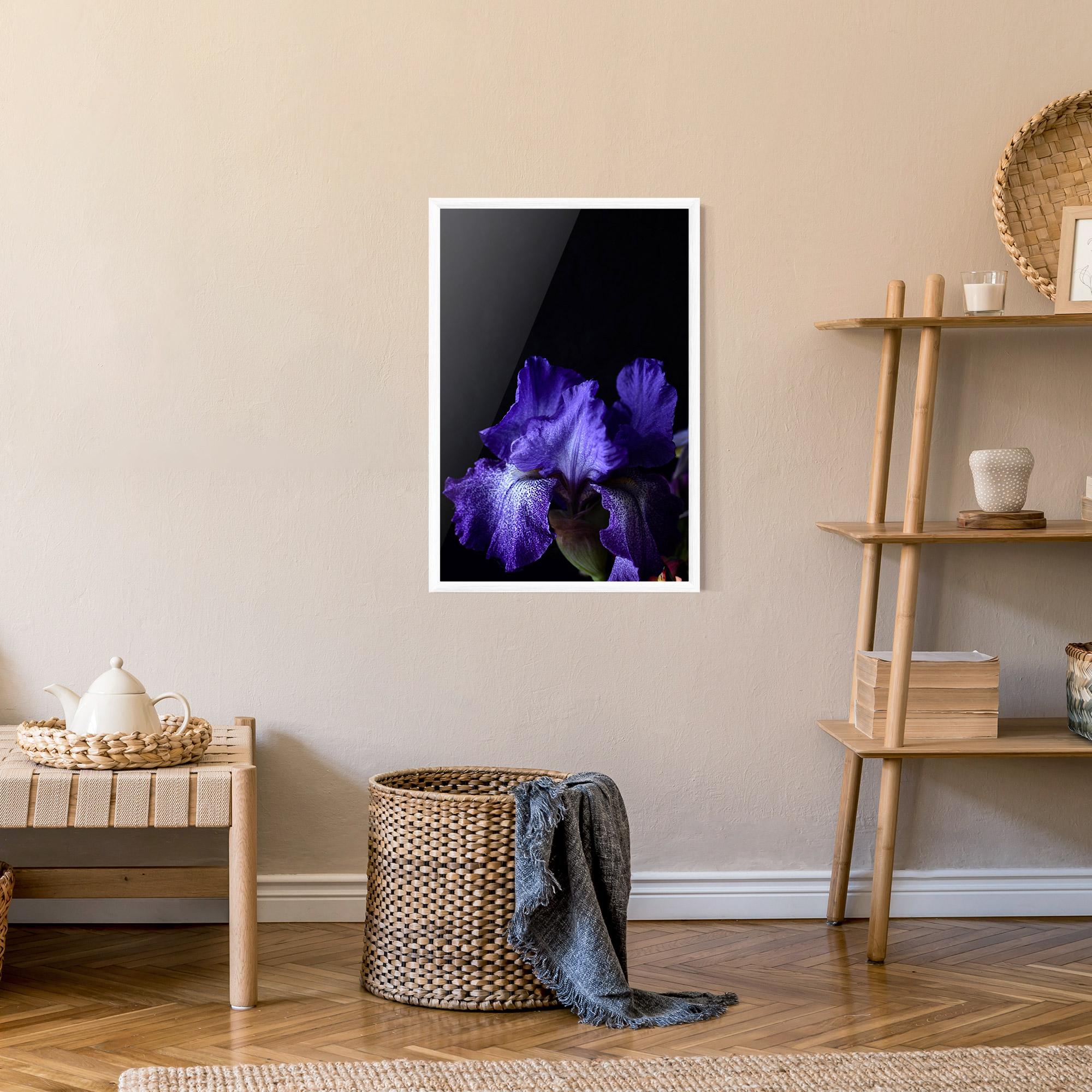 Gerahmte Poster Dark Purple Iris On Black mockup 9