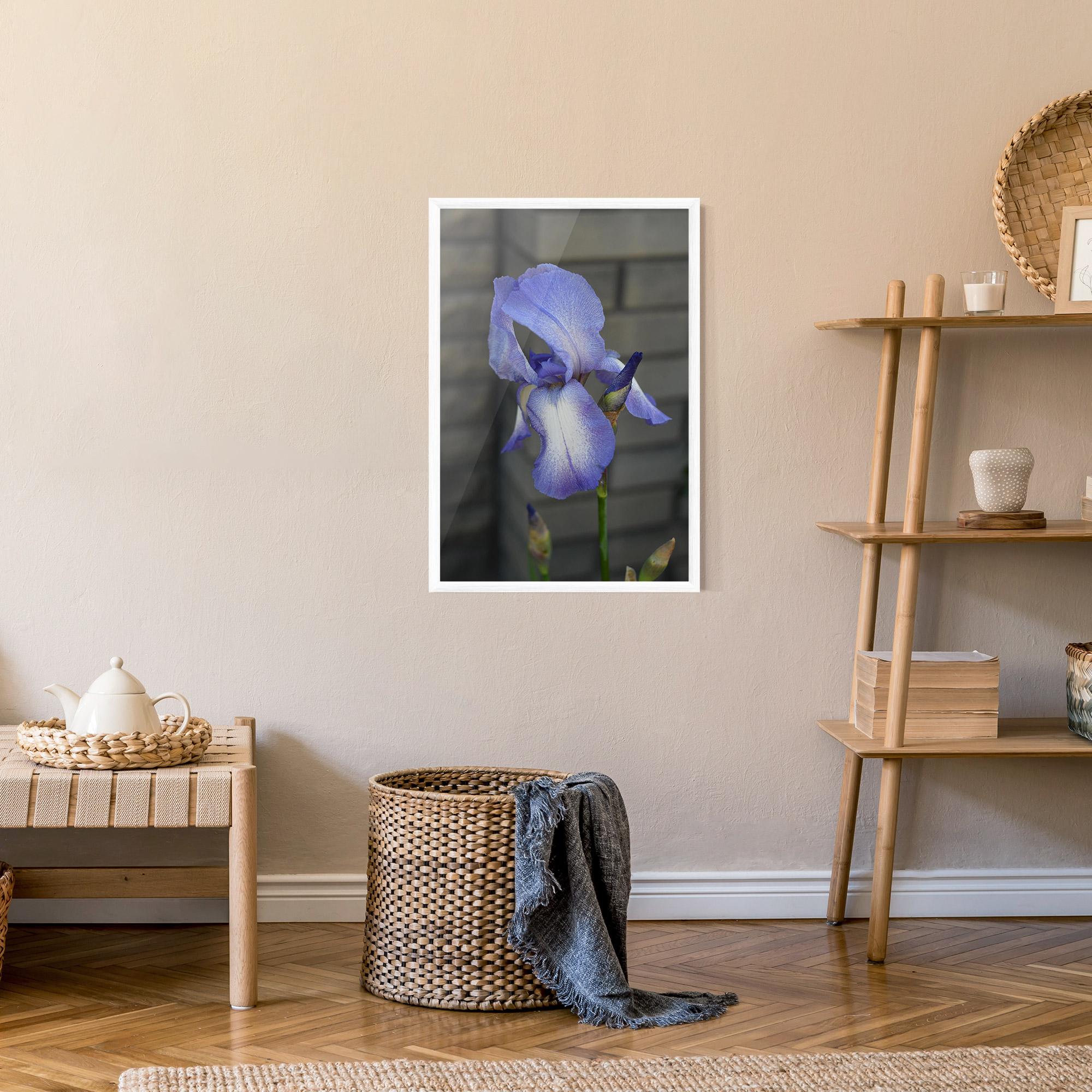 Gerahmte Poster Purple Iris On Gray mockup 9