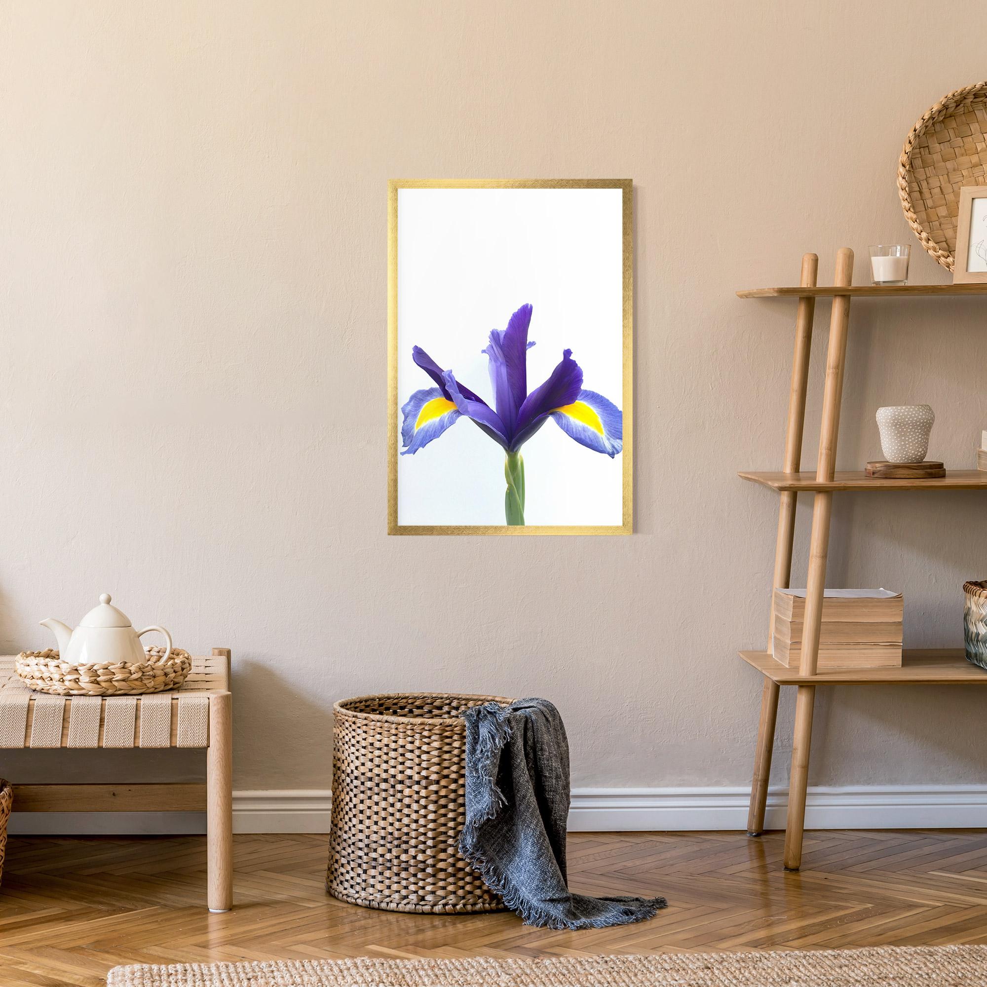 Gerahmte Poster Yellow Color Iris mockup 9