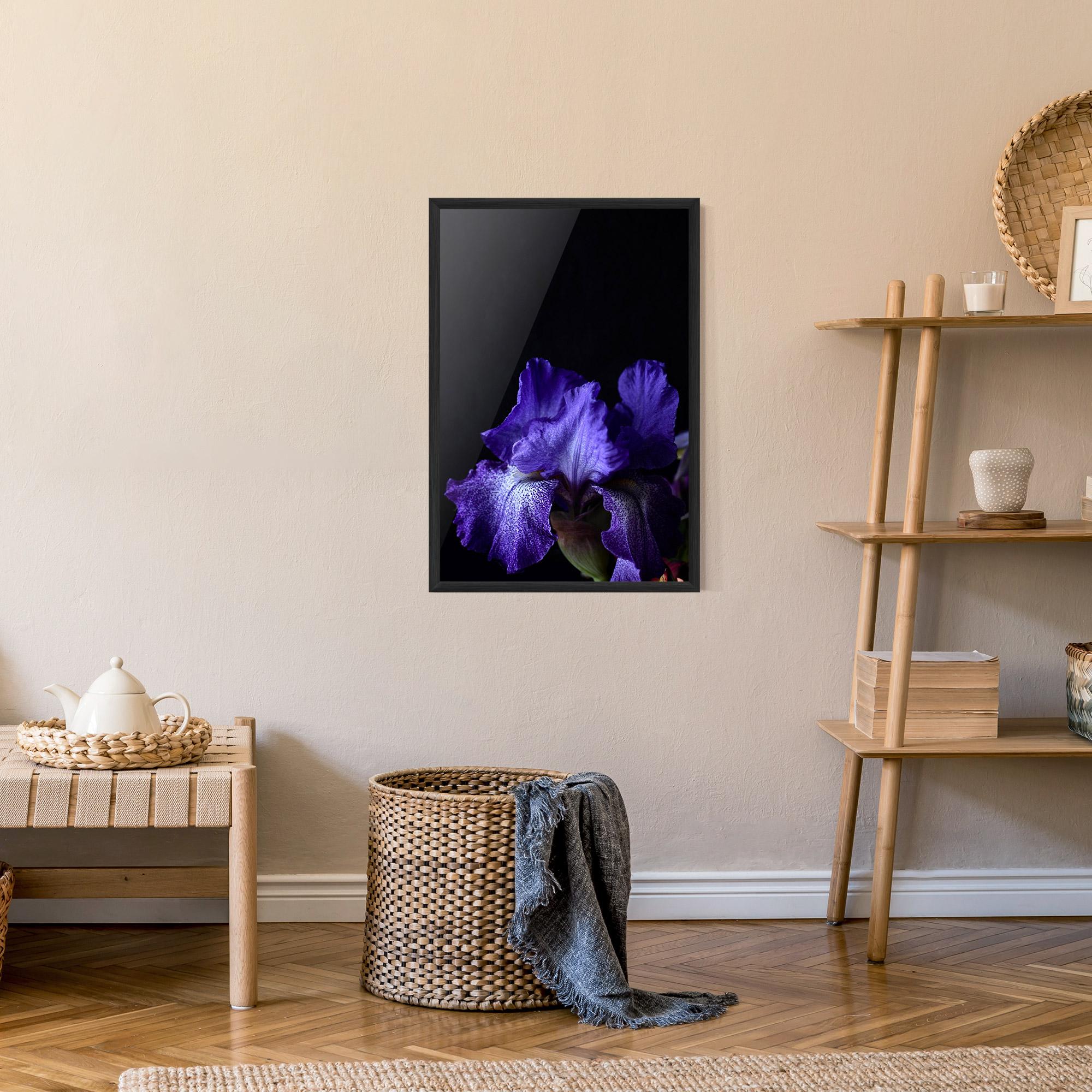 Gerahmte Poster Dark Purple Iris On Black mockup 9