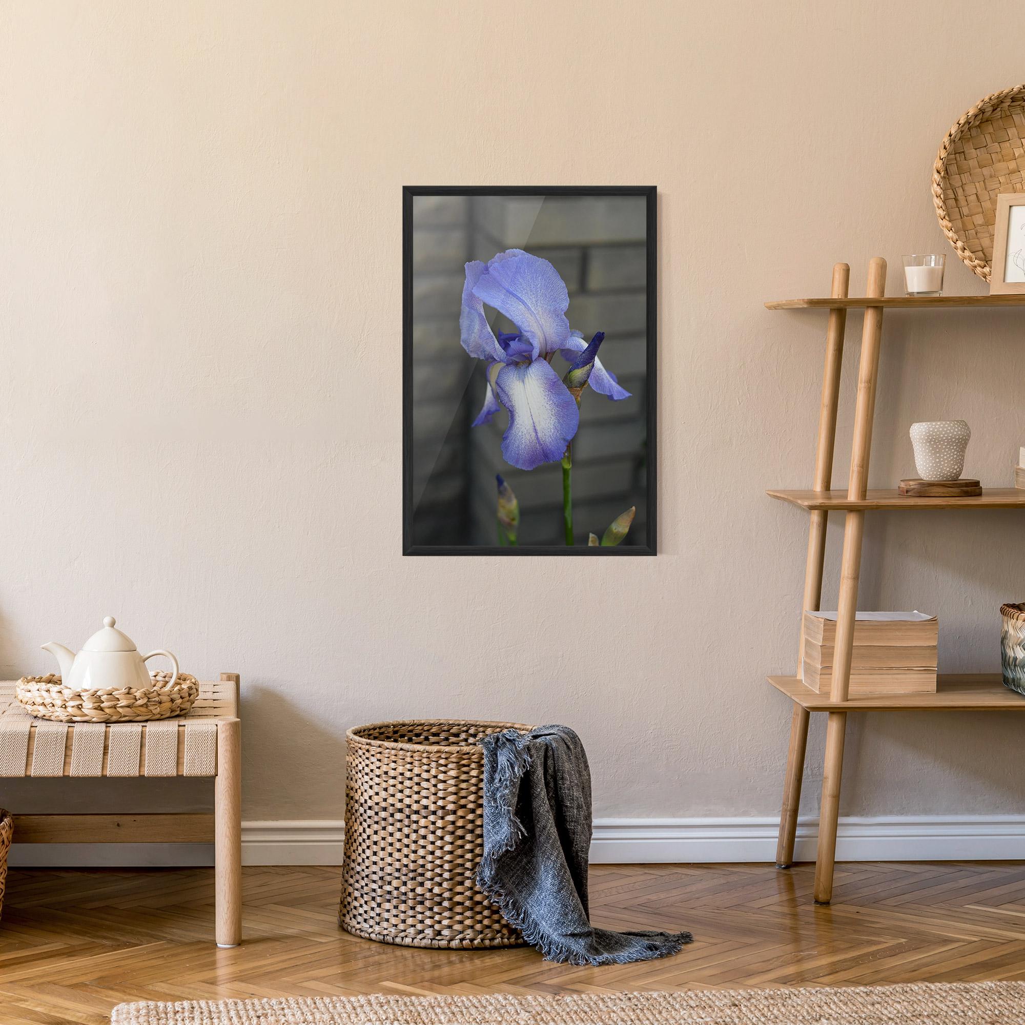 Gerahmte Poster Purple Iris On Gray mockup 9