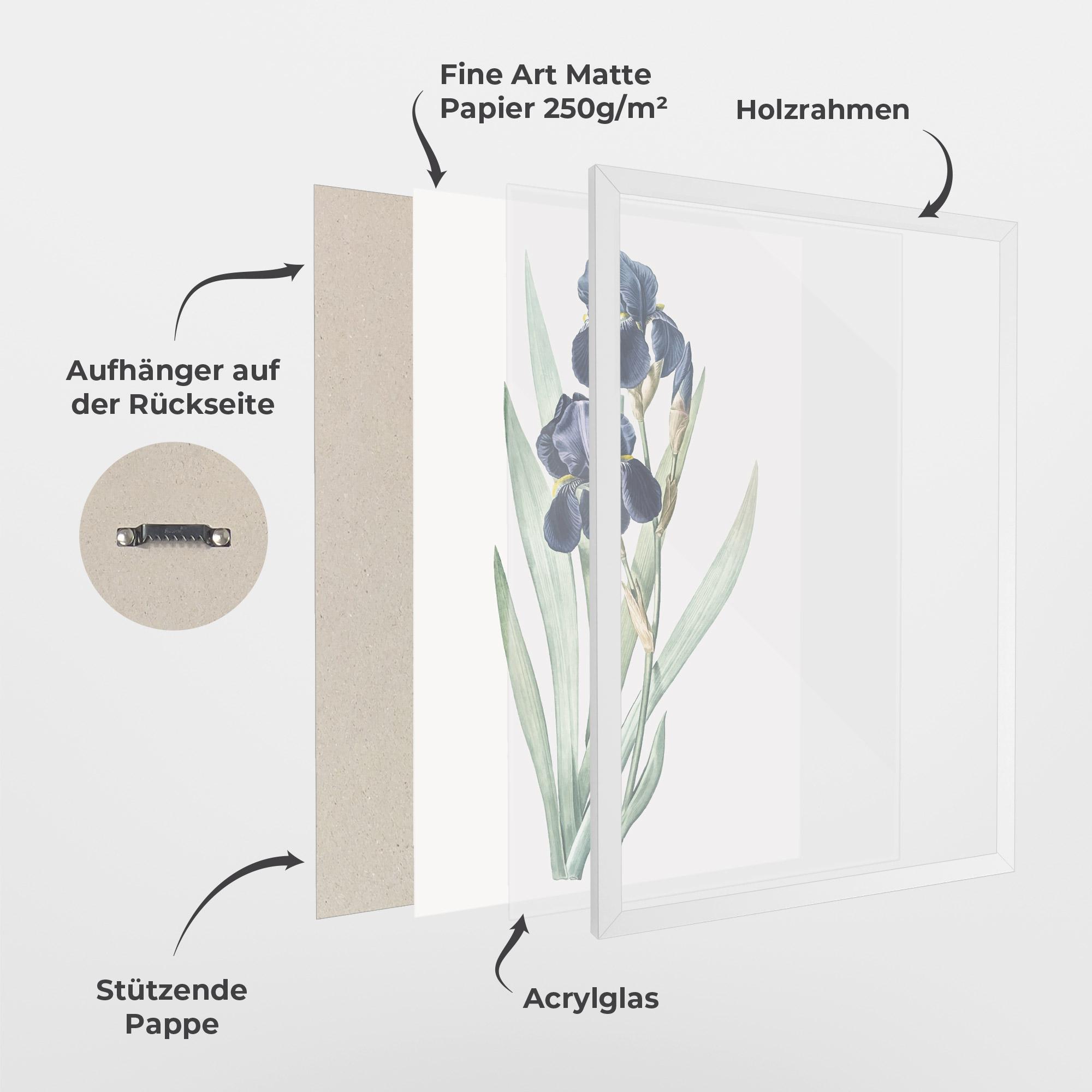 Gerahmte Poster Dark Blue Iris mockup 1