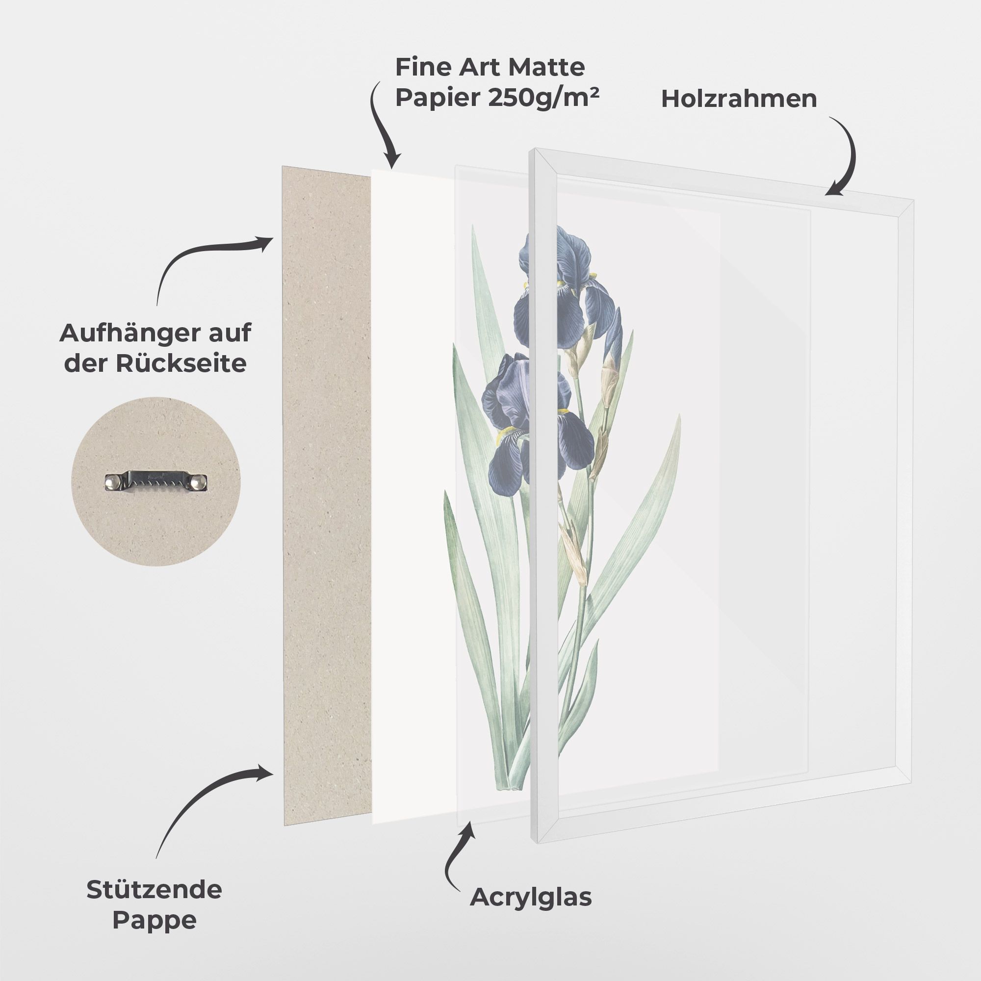 Dark Blue Iris mockup 1