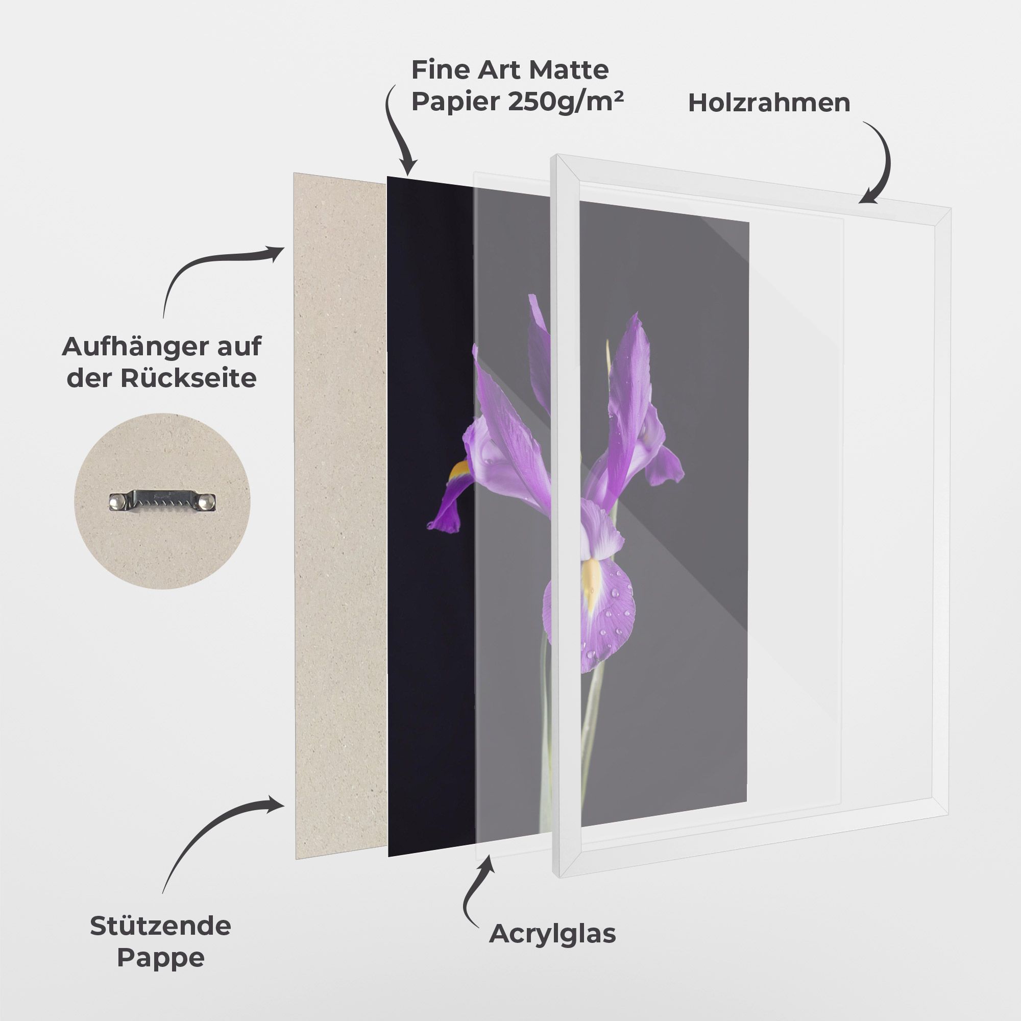 Fresh Purple Iris mockup 1