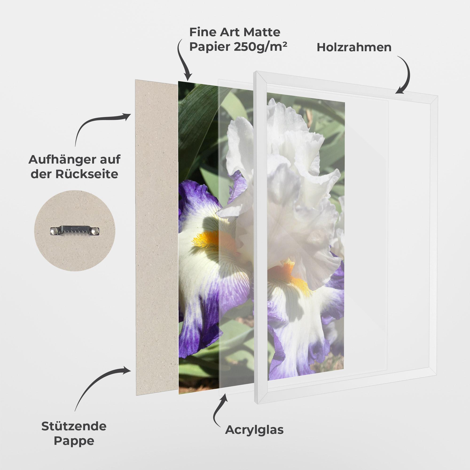 Gerahmte Poster Garden White Purple Irirs mockup 1