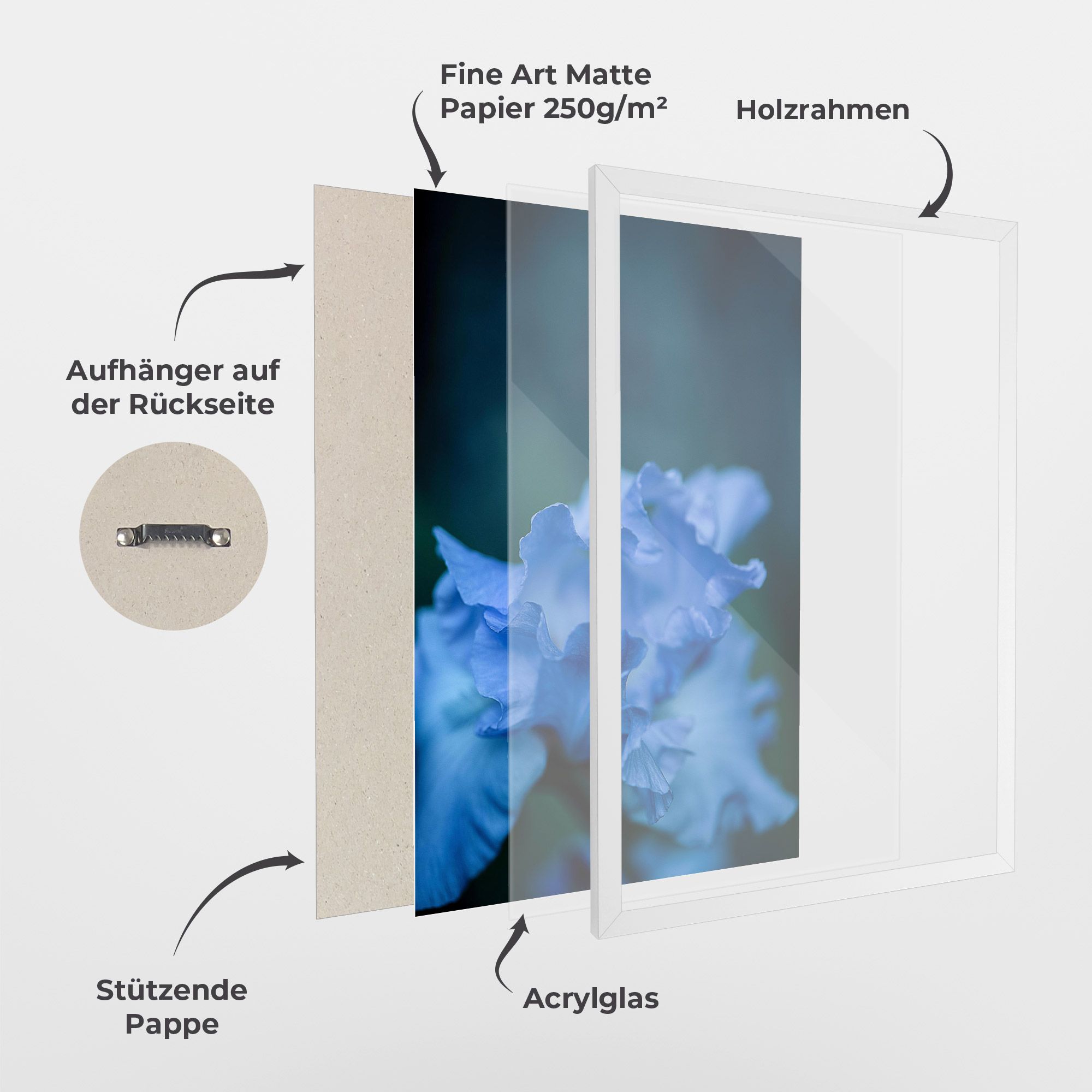 Ocean Blue Iris mockup 1