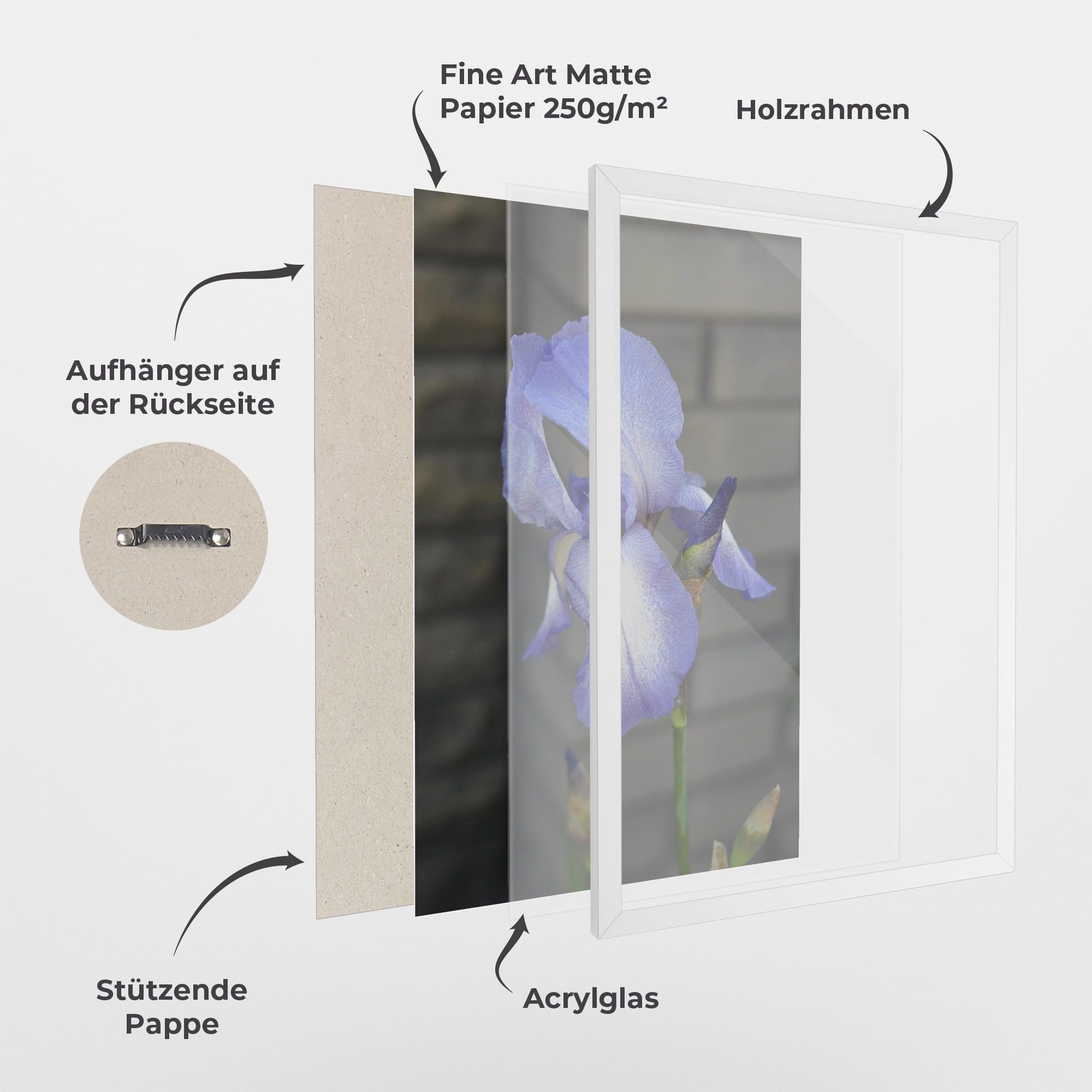 Purple Iris On Gray mockup 1