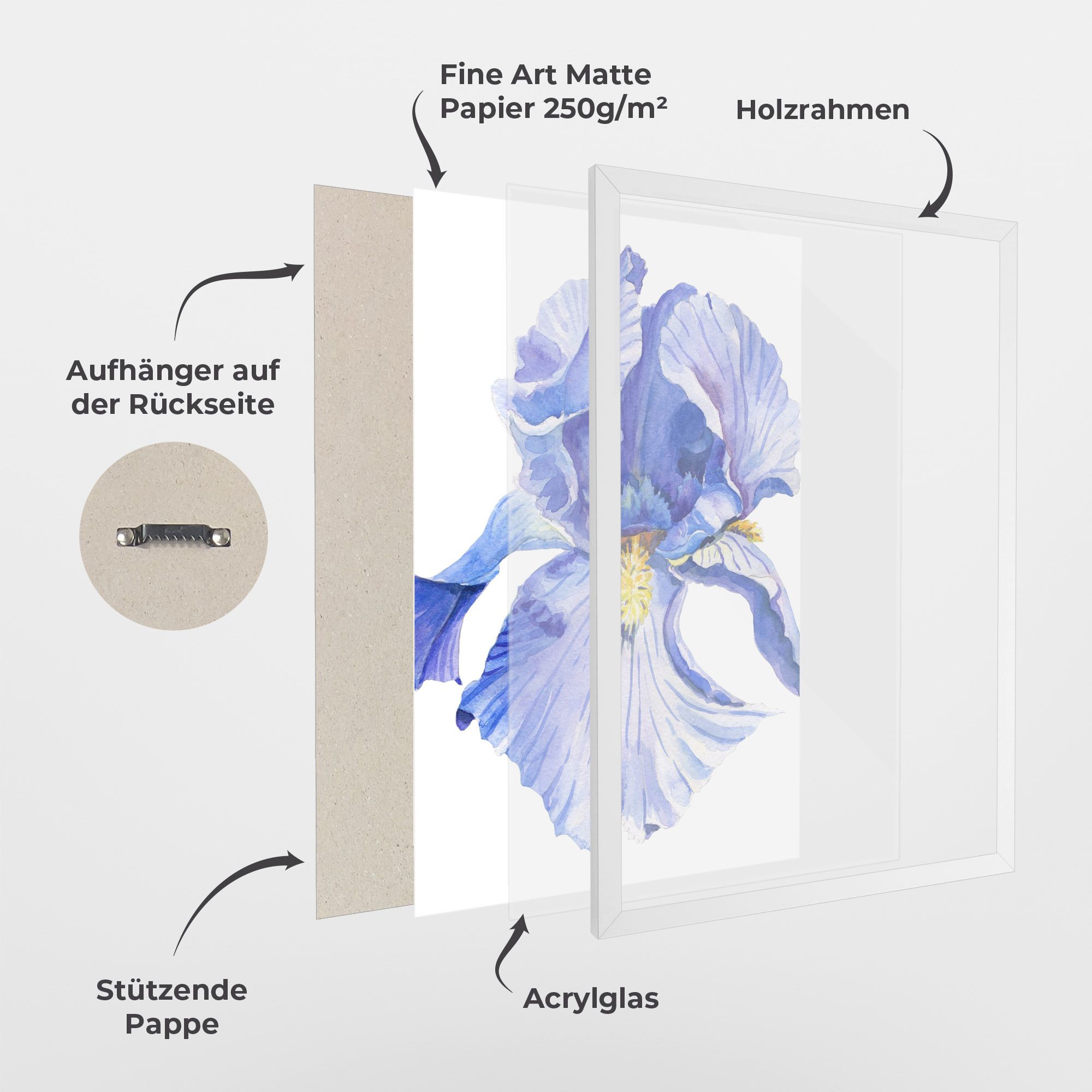 Purple Iris On White mockup 1