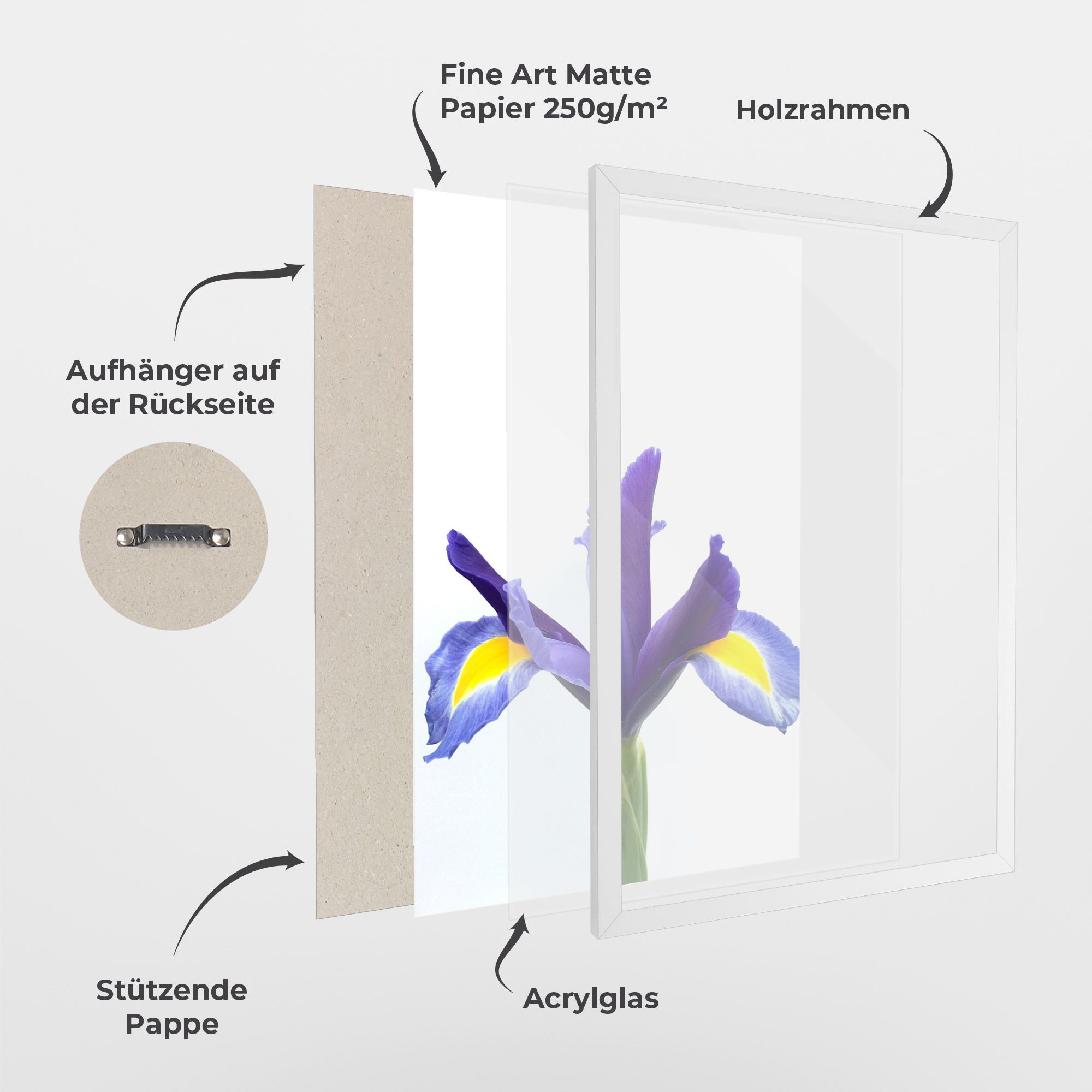 Yellow Color Iris mockup 1