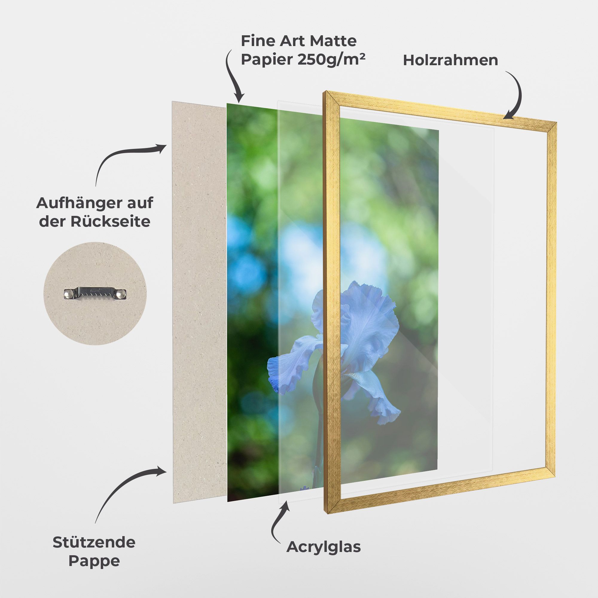 Blue Iris In The Garden mockup 1