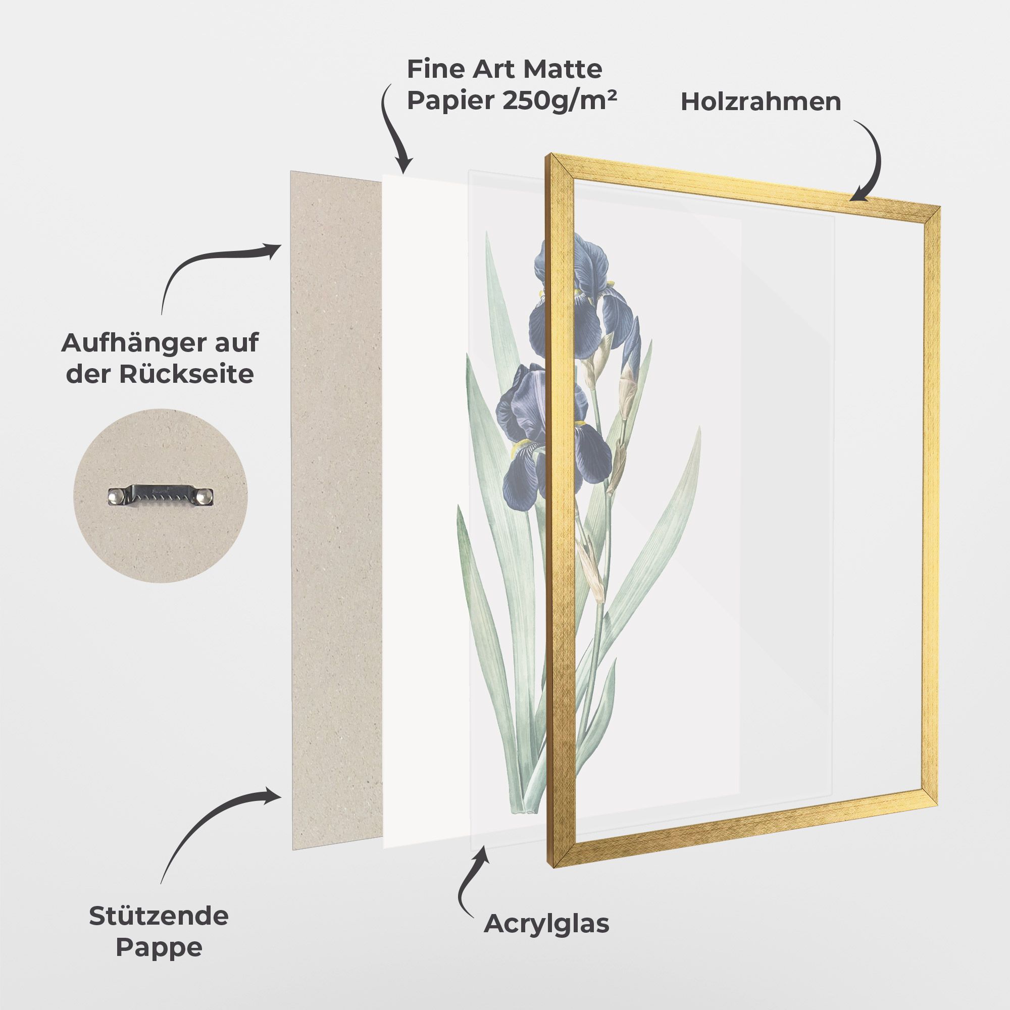 Dark Blue Iris mockup 1