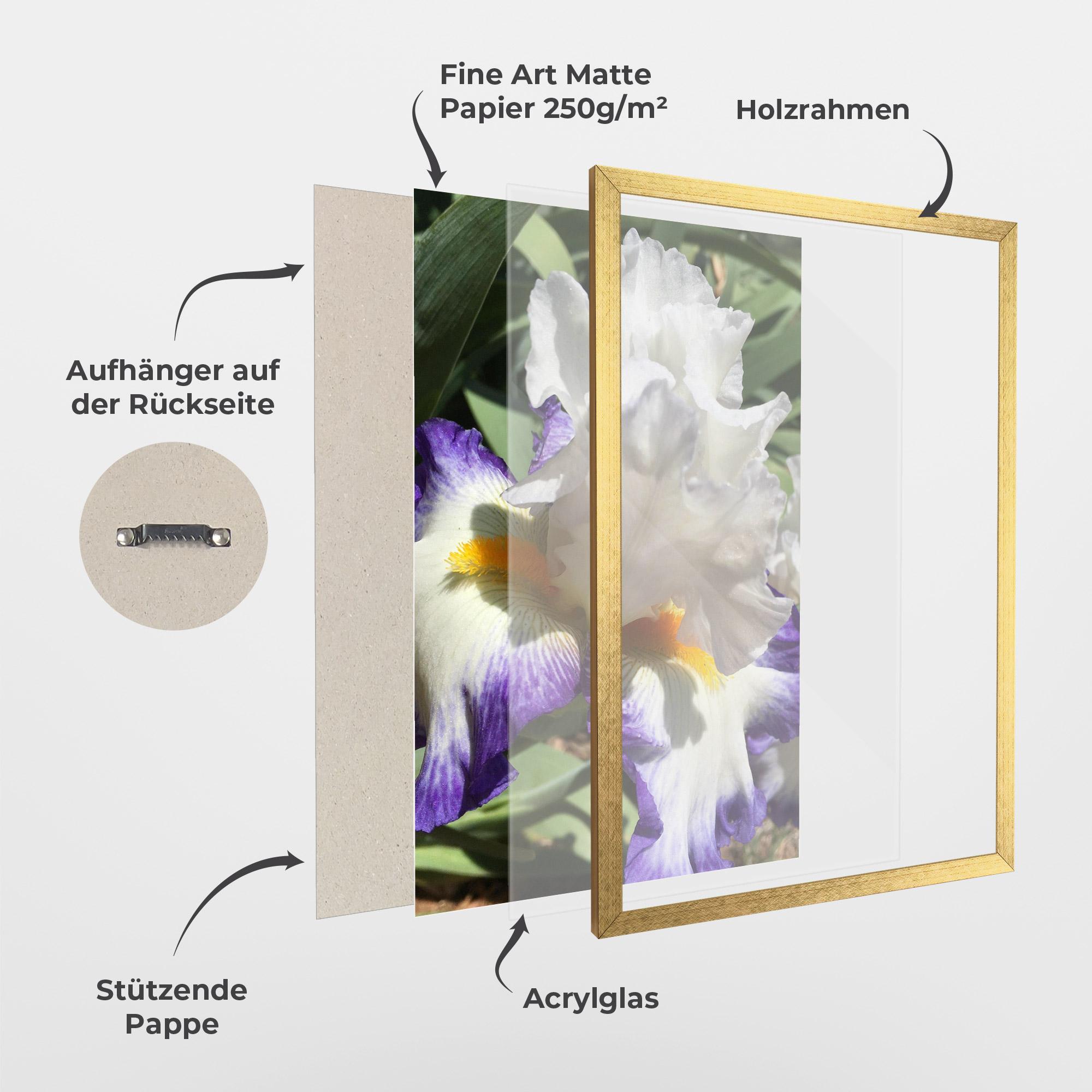 Gerahmte Poster Garden White Purple Irirs mockup 1