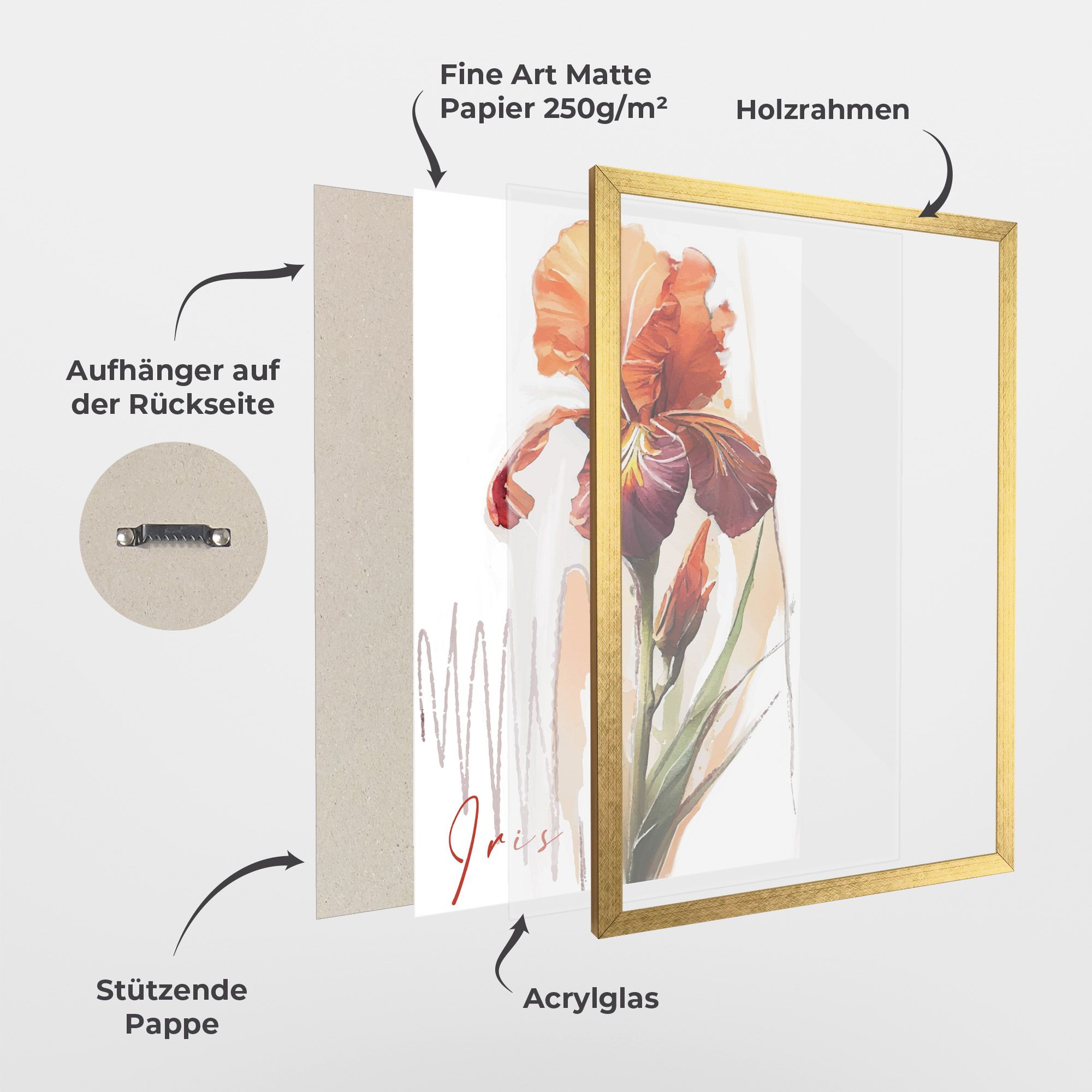 Orange Iris mockup 1