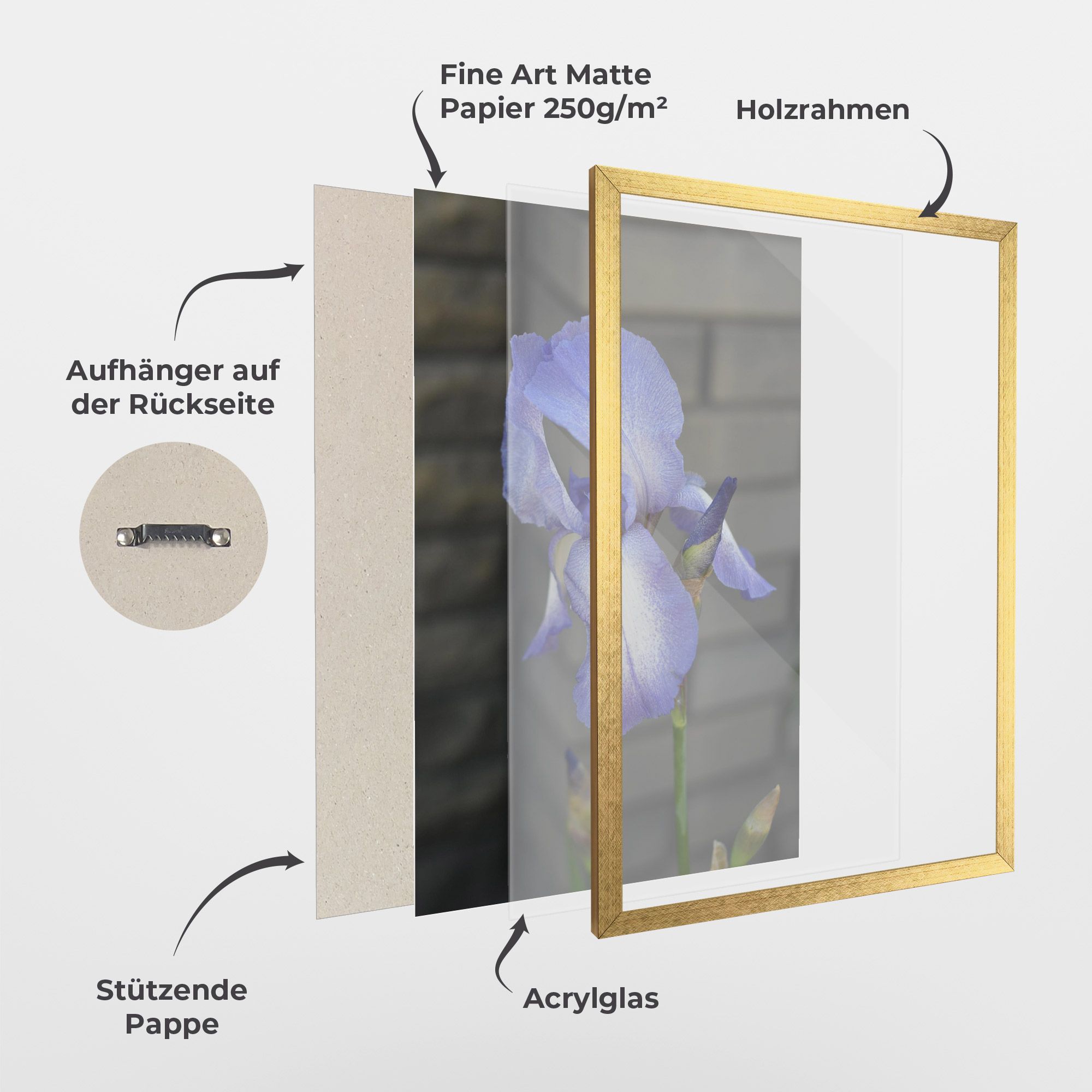 Purple Iris On Gray mockup 1