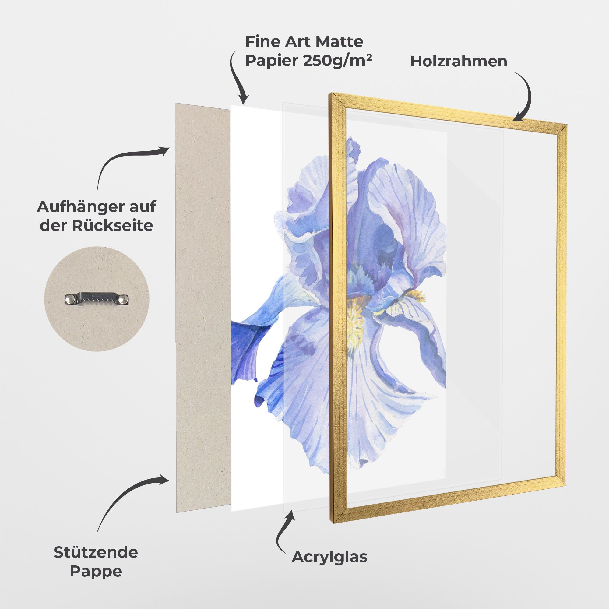 Purple Iris On White mockup 1