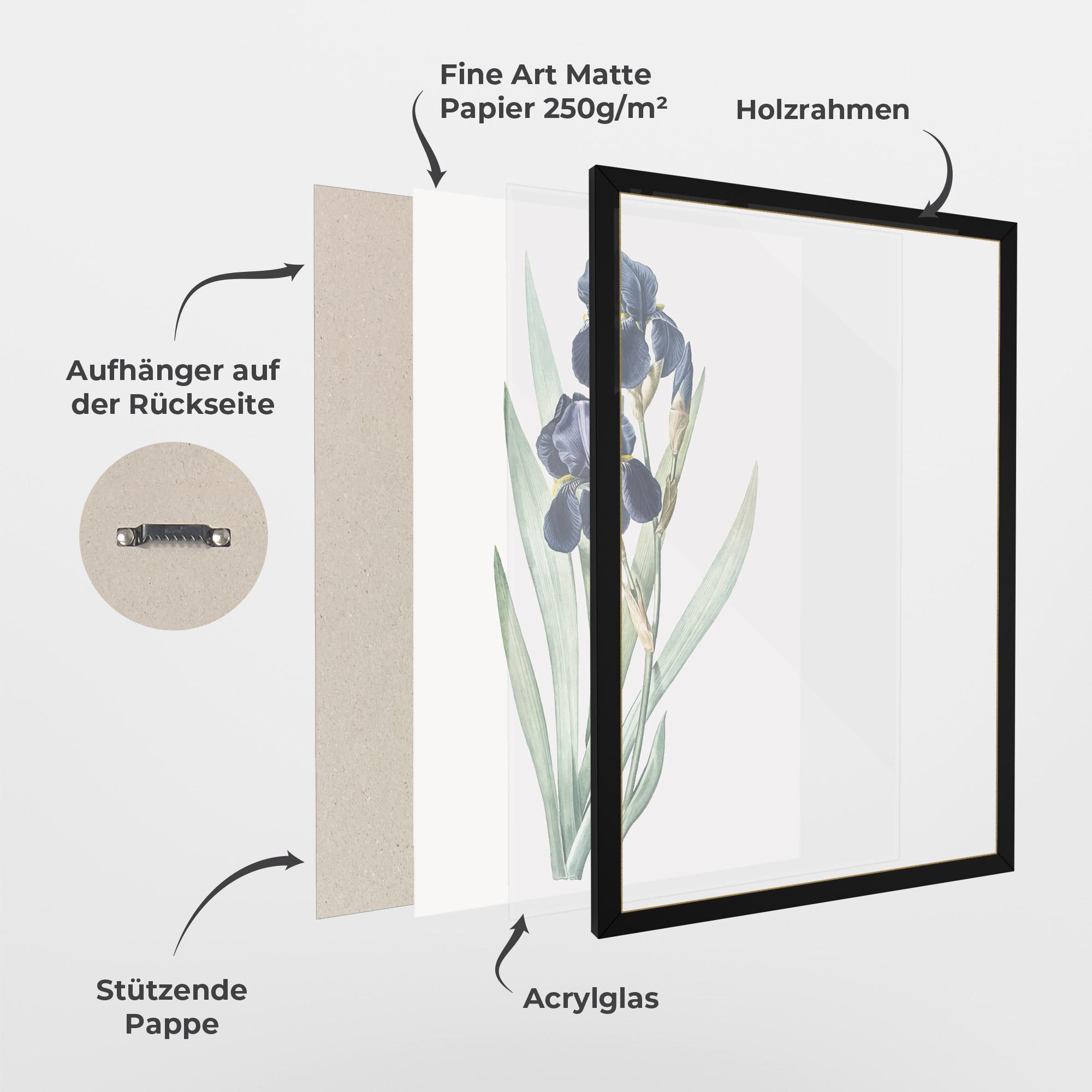 Gerahmte Poster Dark Blue Iris mockup 1