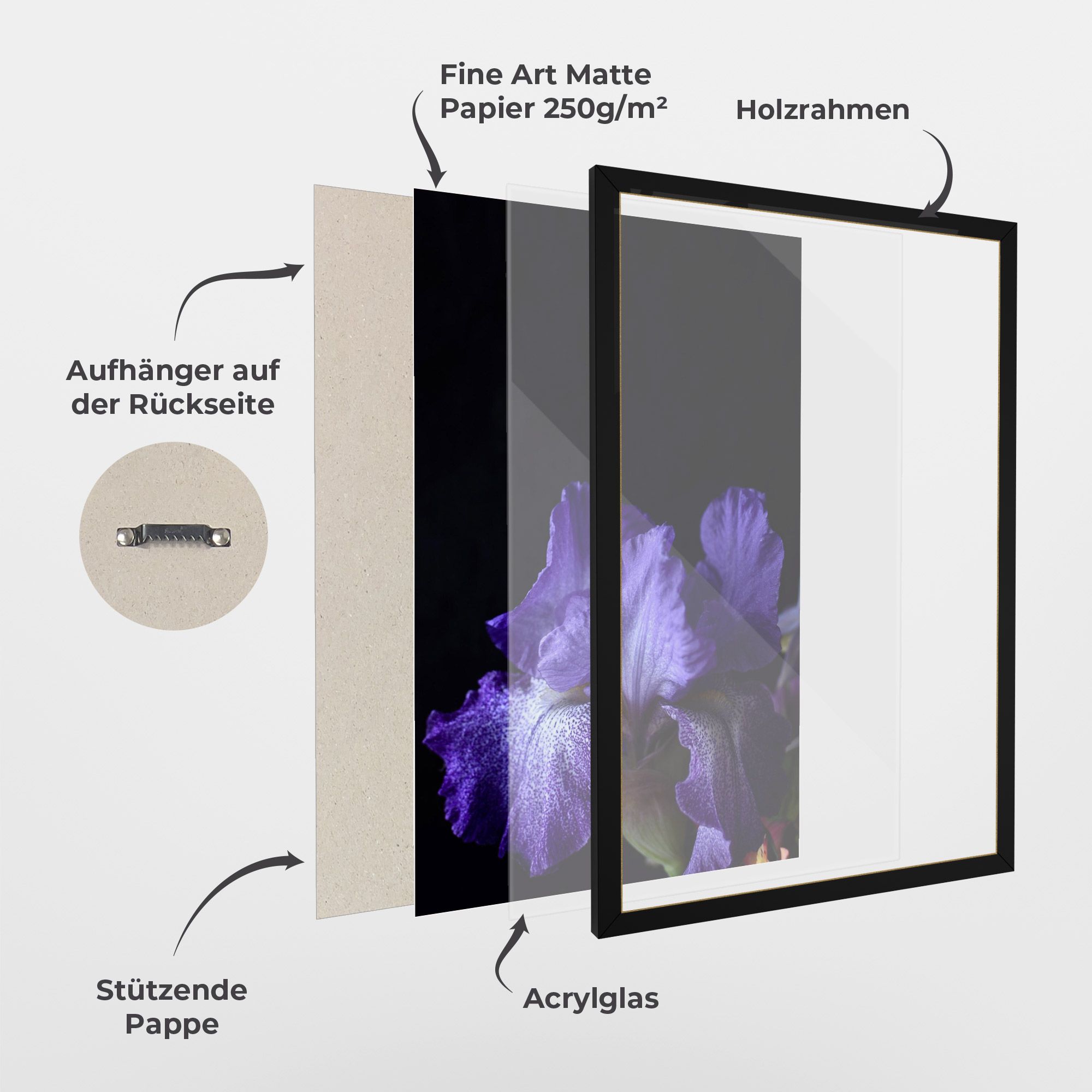 Dark Purple Iris On Black mockup 1