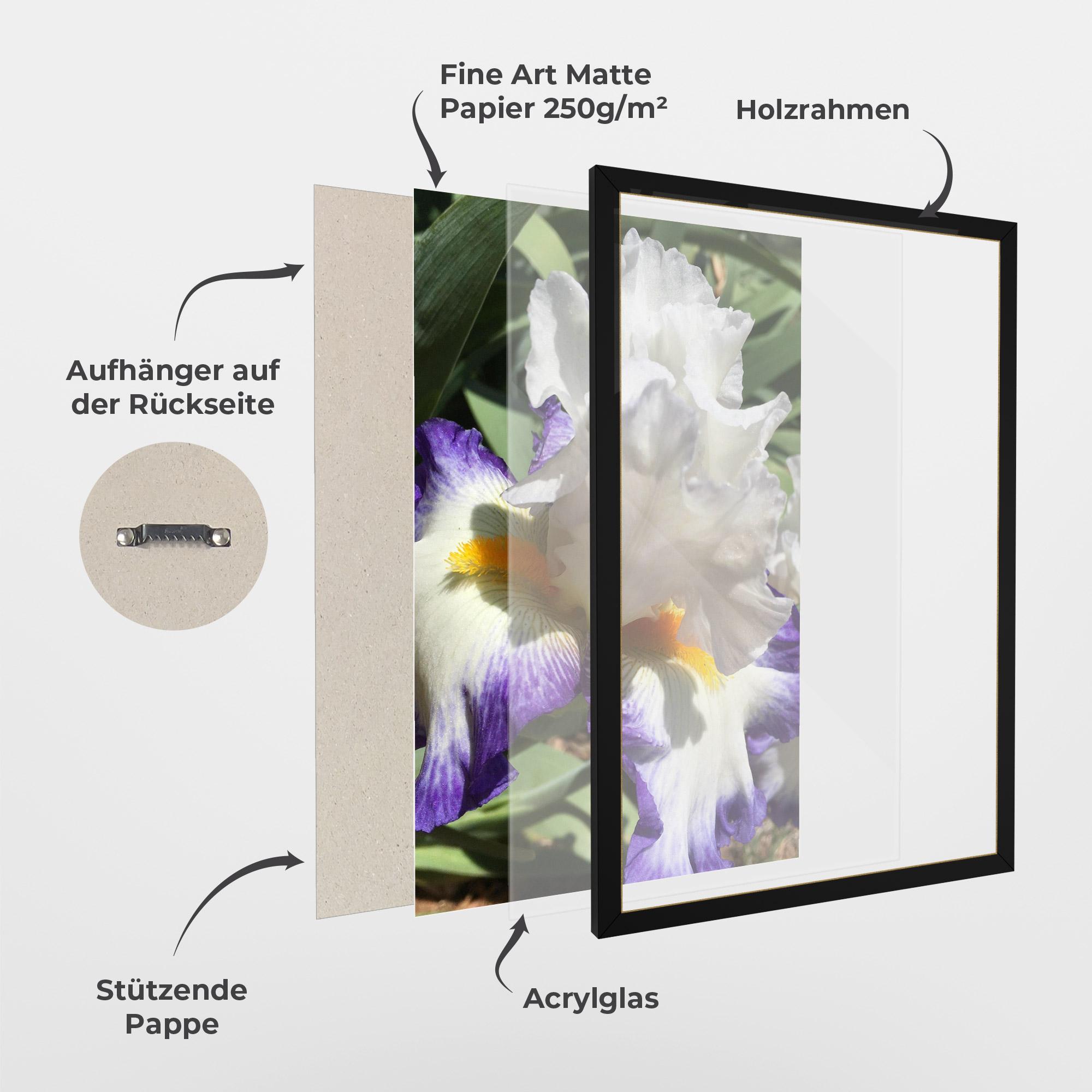 Gerahmte Poster Garden White Purple Irirs mockup 1