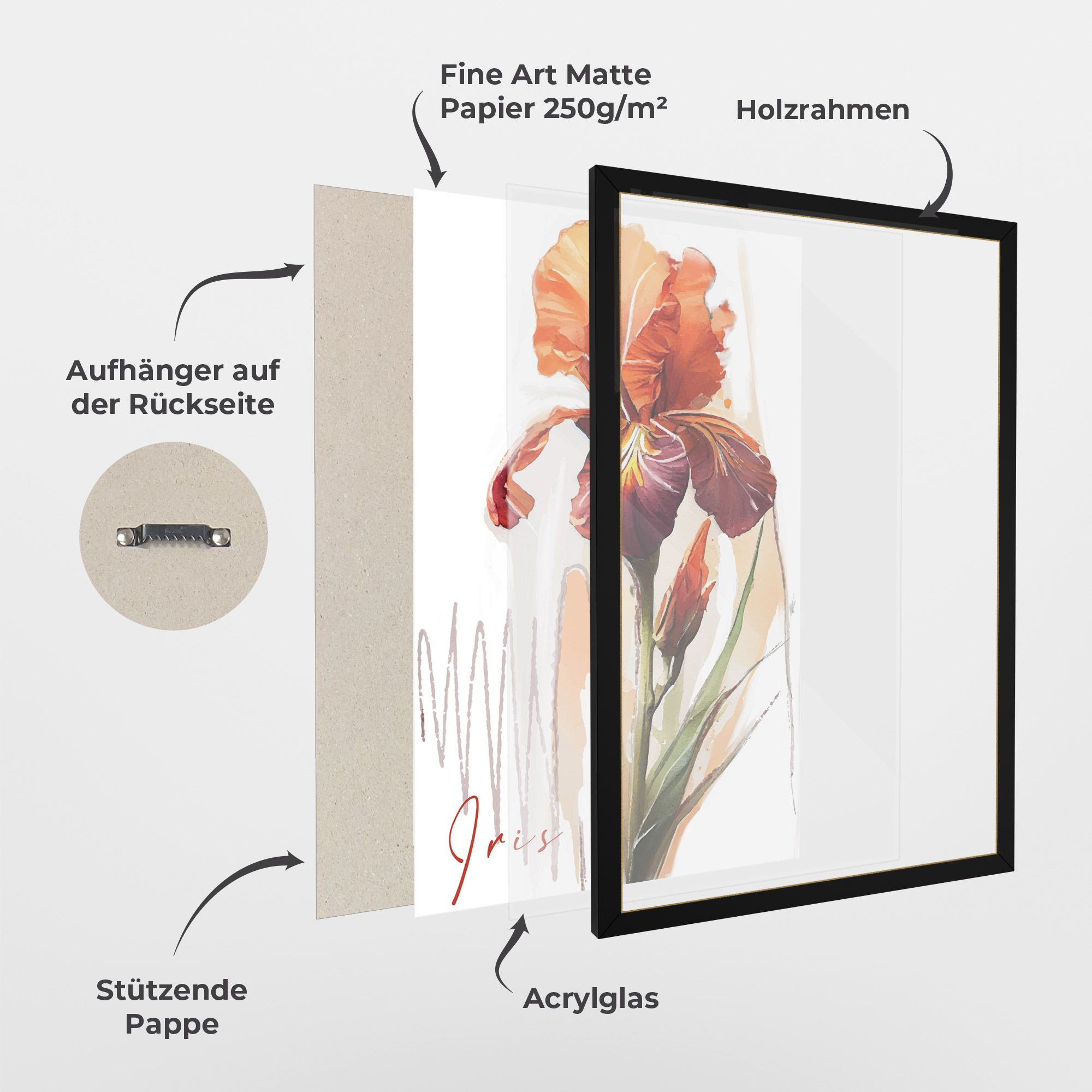 Orange Iris mockup 1