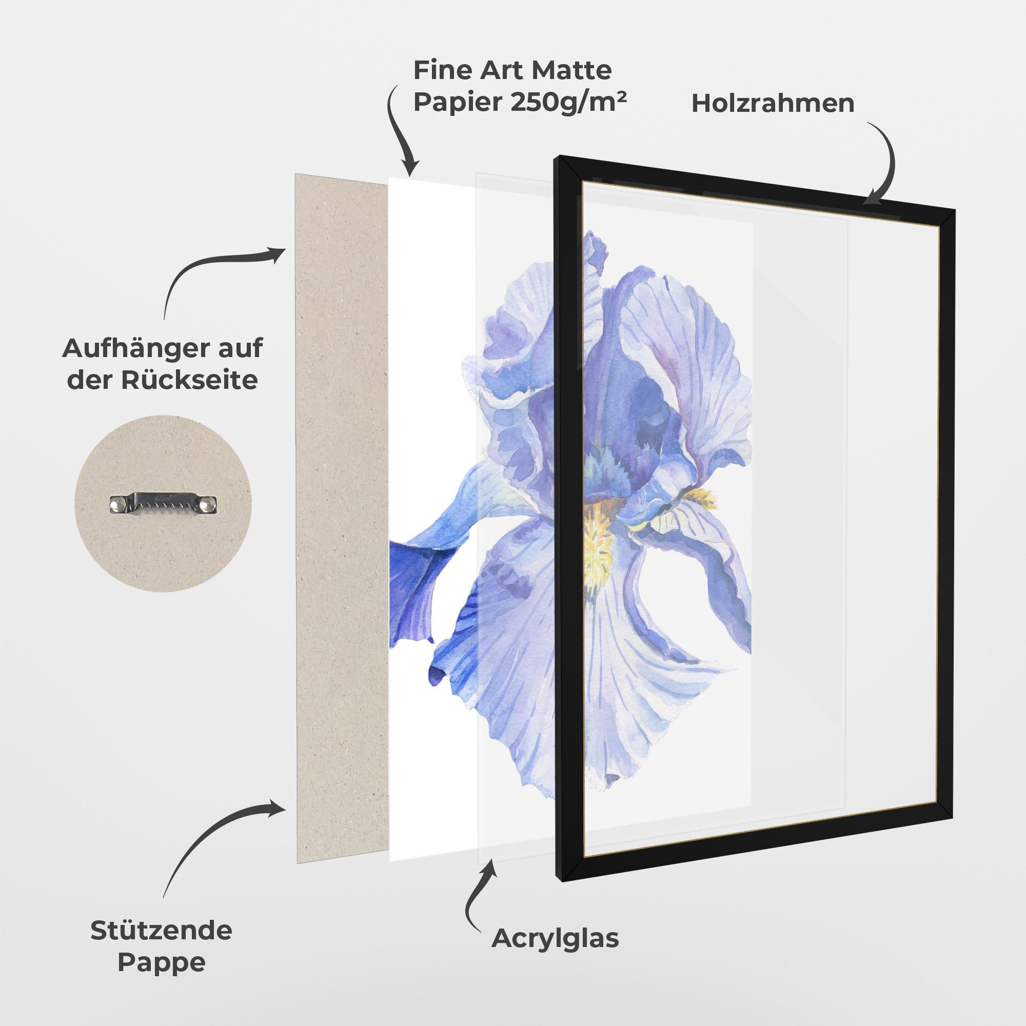 Gerahmte Poster Purple Iris On White mockup 1