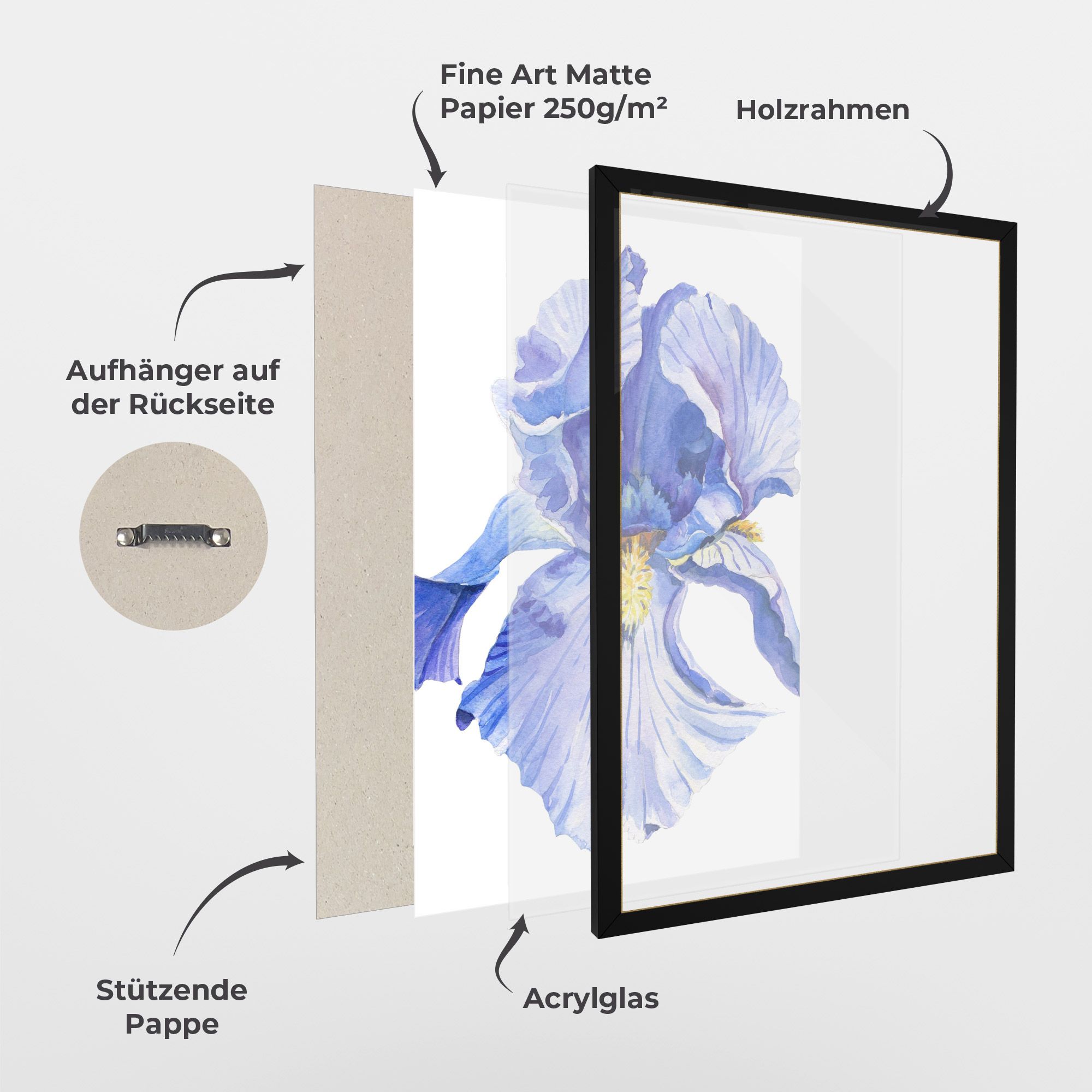 Purple Iris On White mockup 1
