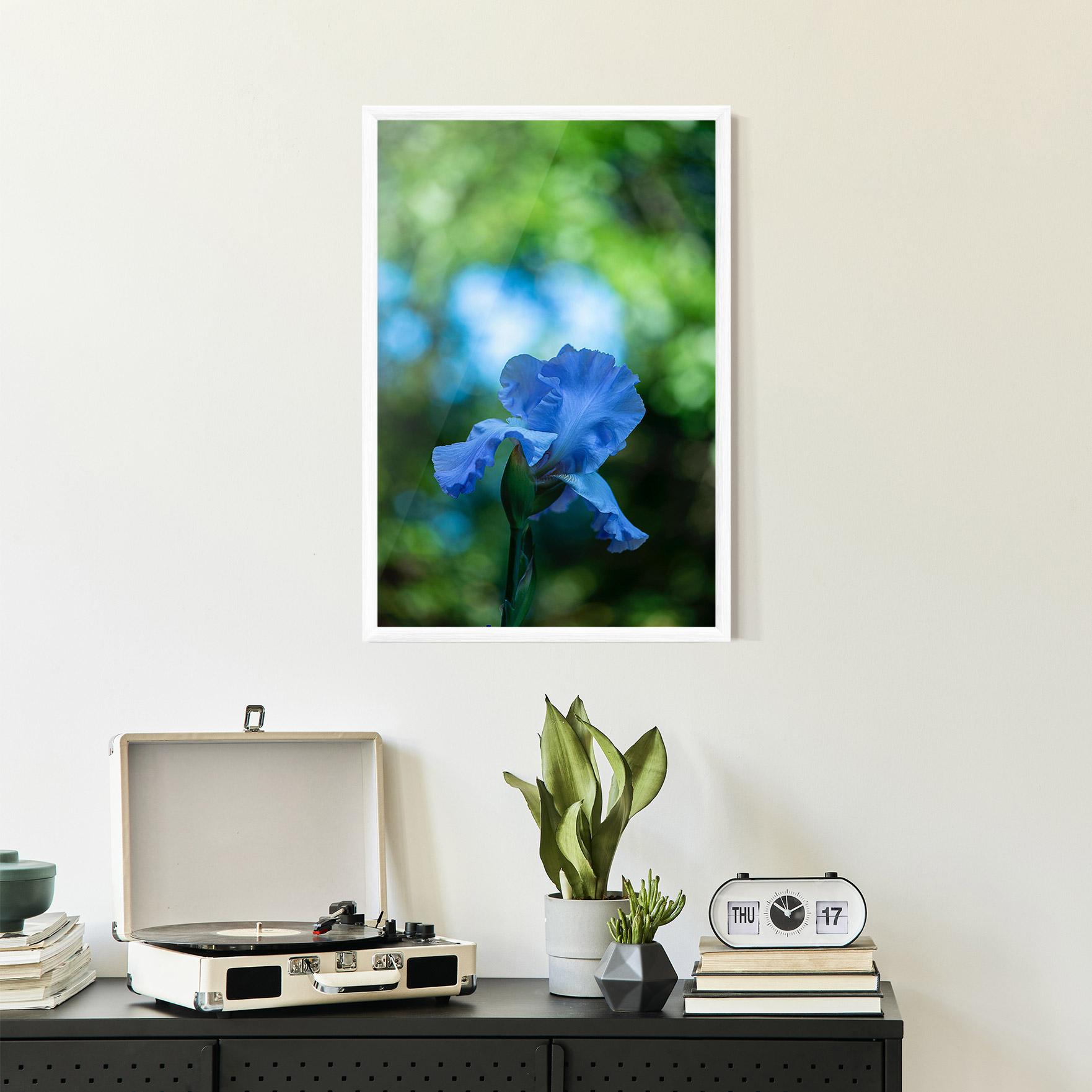 Gerahmte Poster Blue Iris In The Garden mockup 2