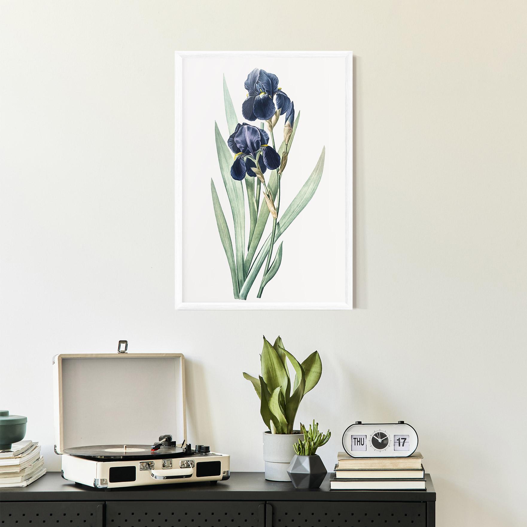 Gerahmte Poster Dark Blue Iris mockup 2