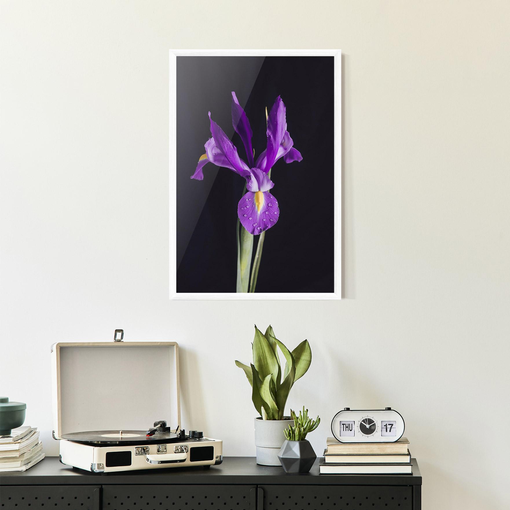 Gerahmte Poster Fresh Purple Iris mockup 2