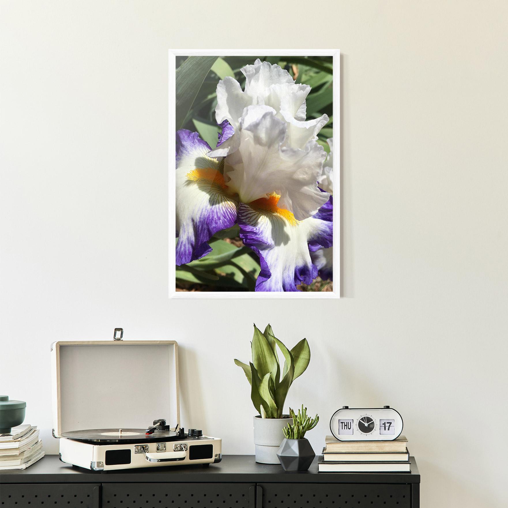 Gerahmte Poster Garden White Purple Irirs mockup 2
