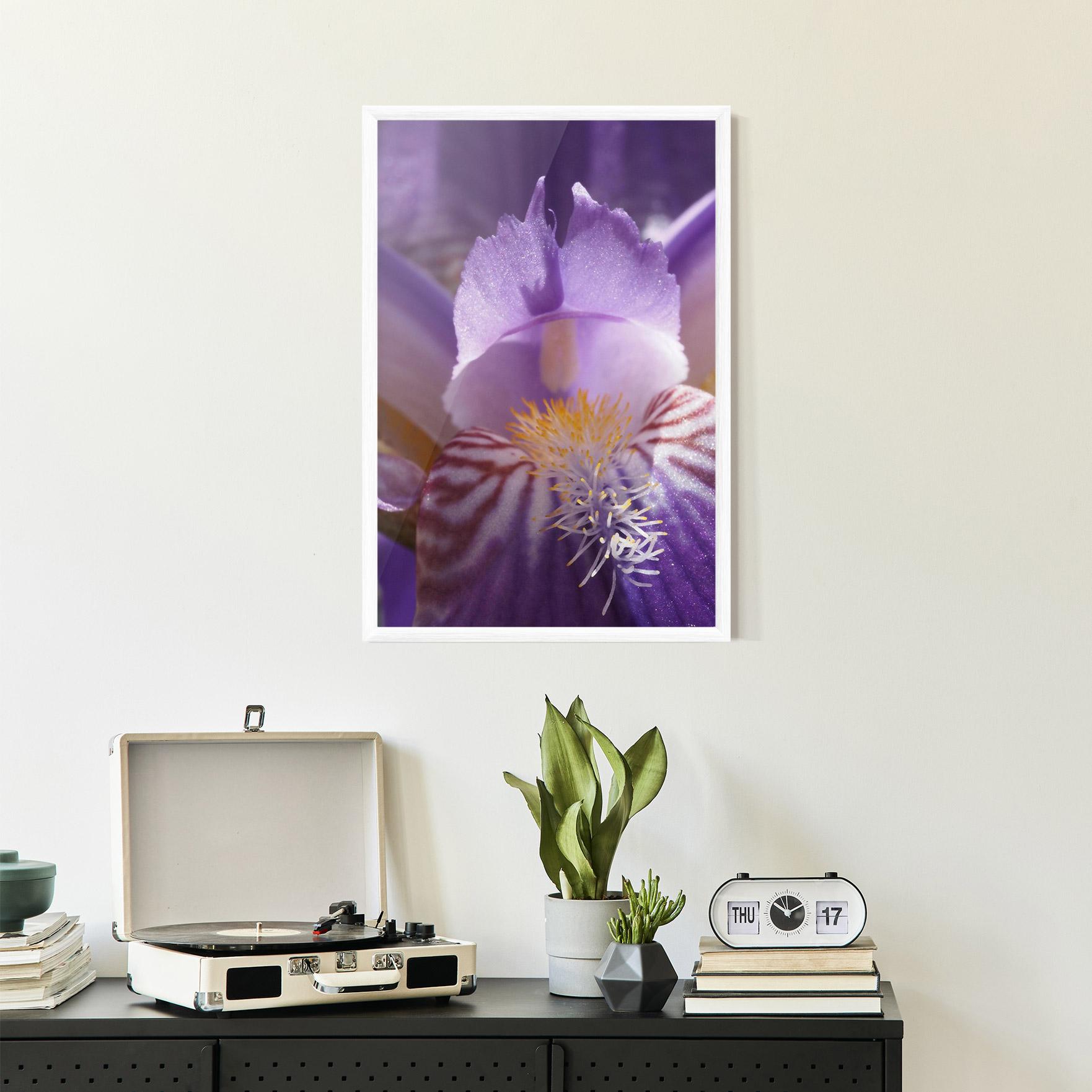 Gerahmte Poster Purple Iris Close Up mockup 2