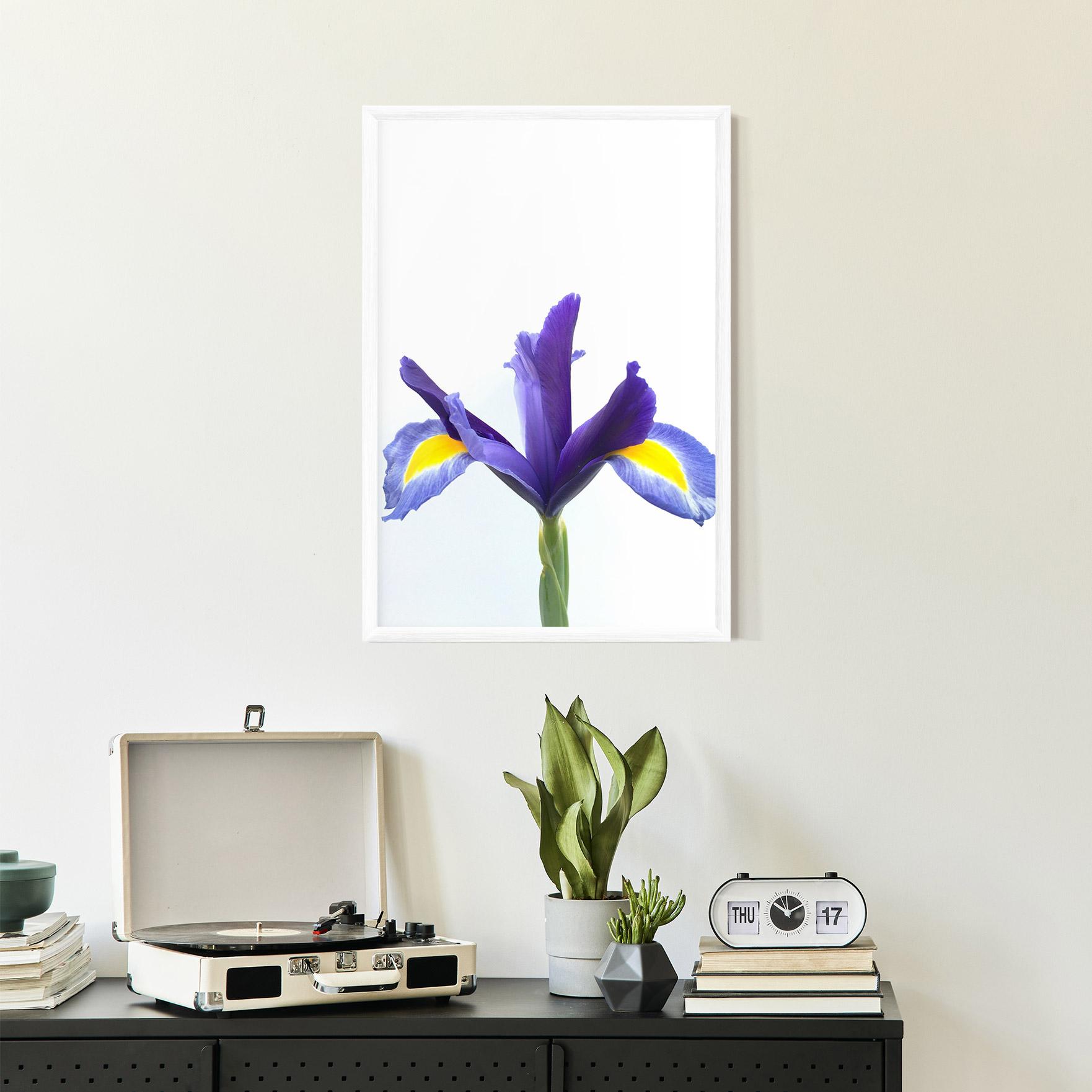 Gerahmte Poster Yellow Color Iris mockup 2