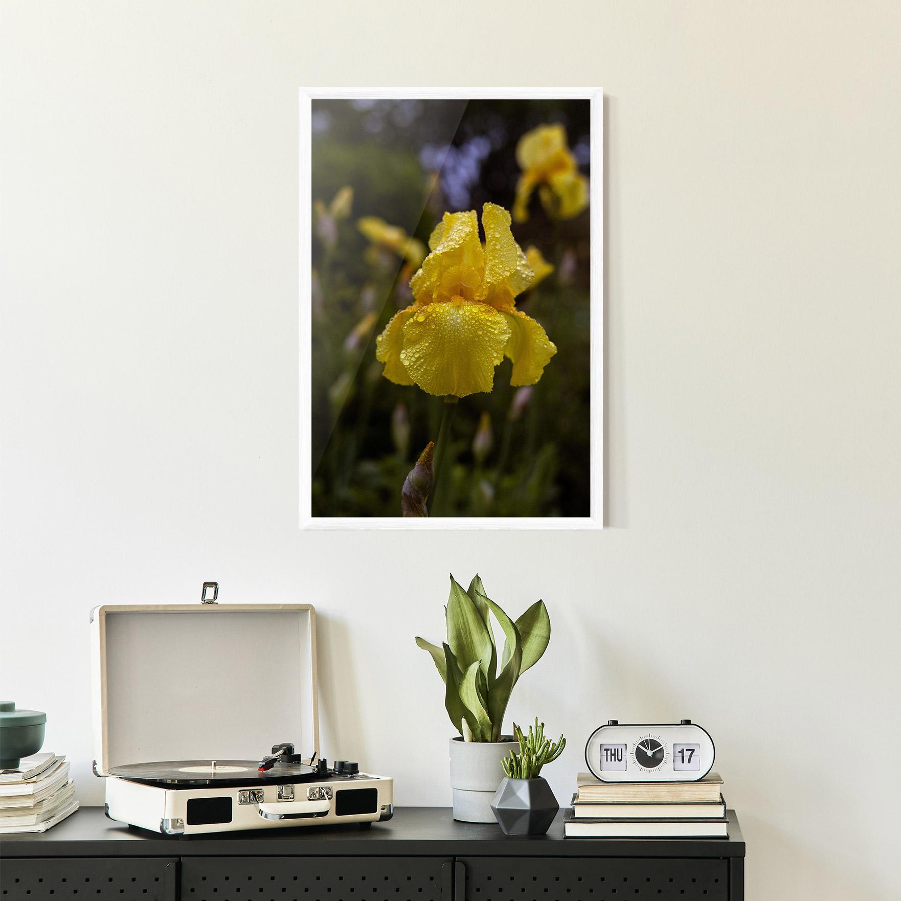 Gerahmte Poster Yellow Iris After Rain mockup 2