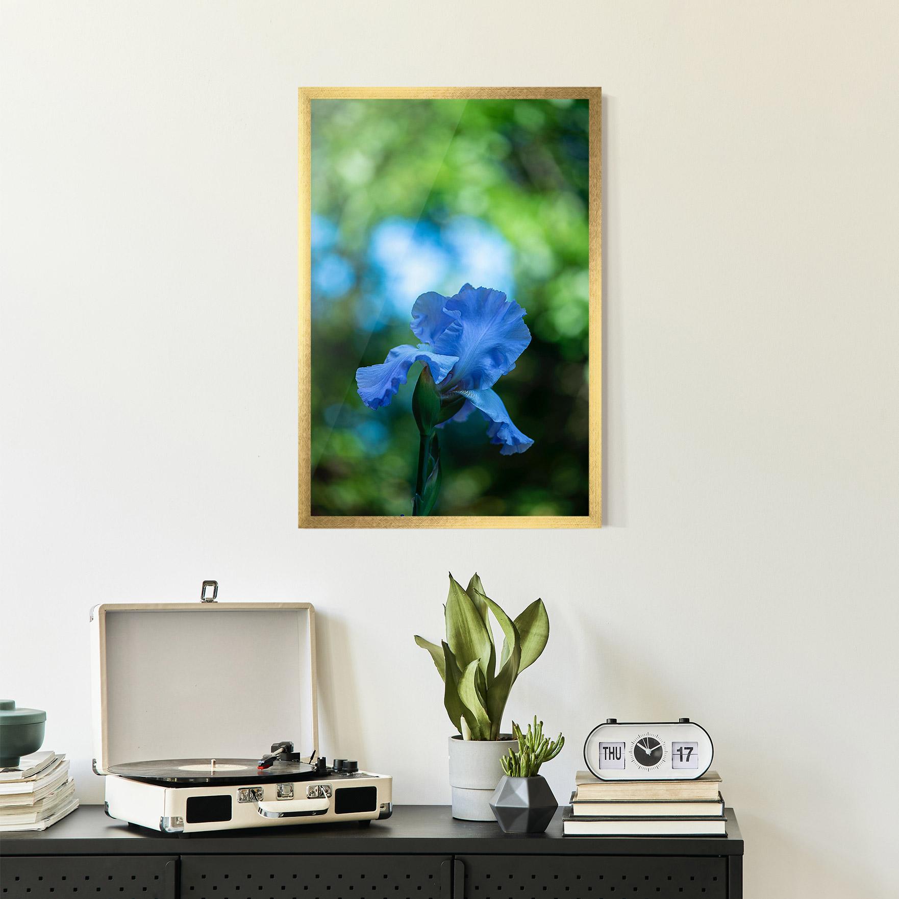 Gerahmte Poster Blue Iris In The Garden mockup 2