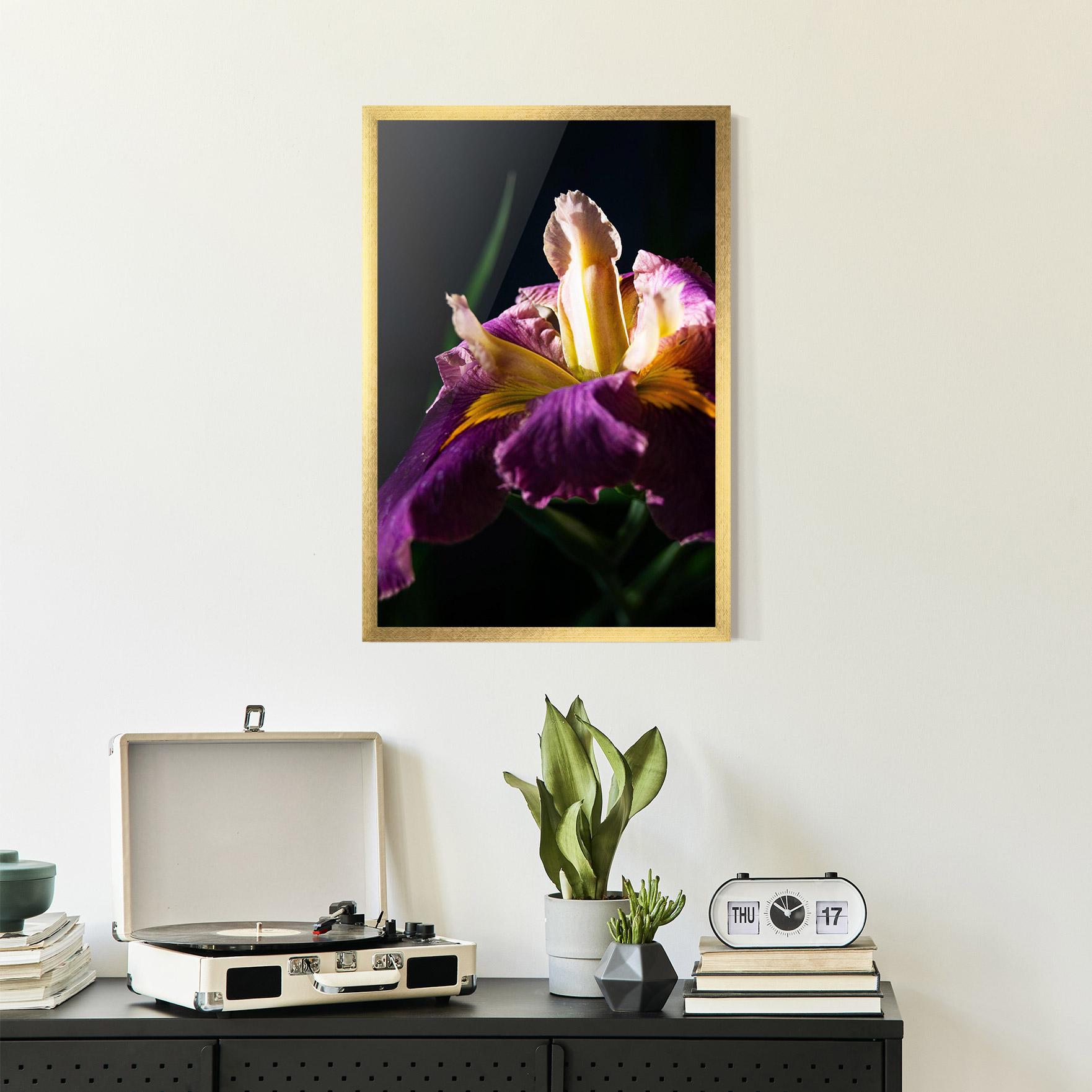 Gerahmte Poster Pastel Yellow Iris mockup 2