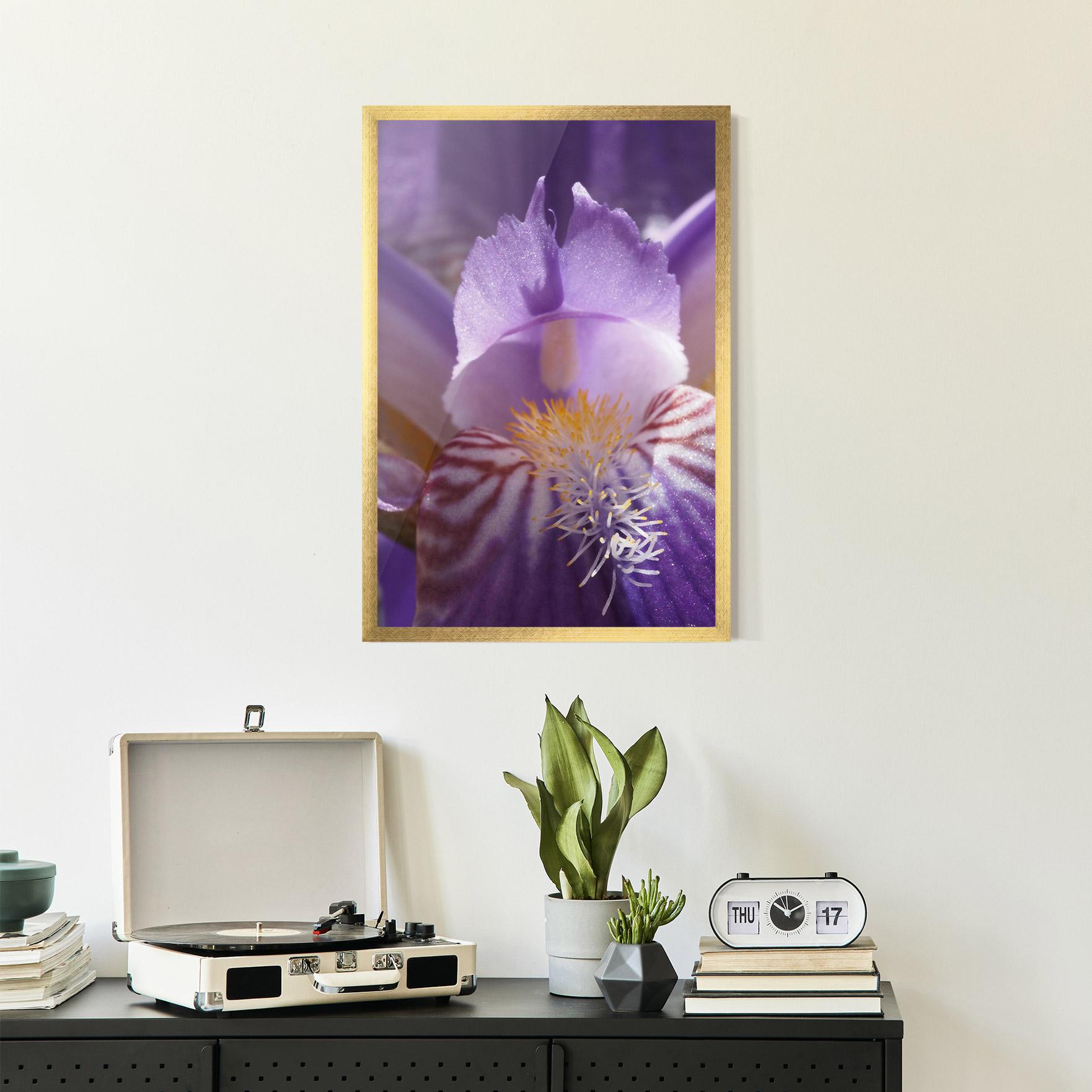 Gerahmte Poster Purple Iris Close Up mockup 2