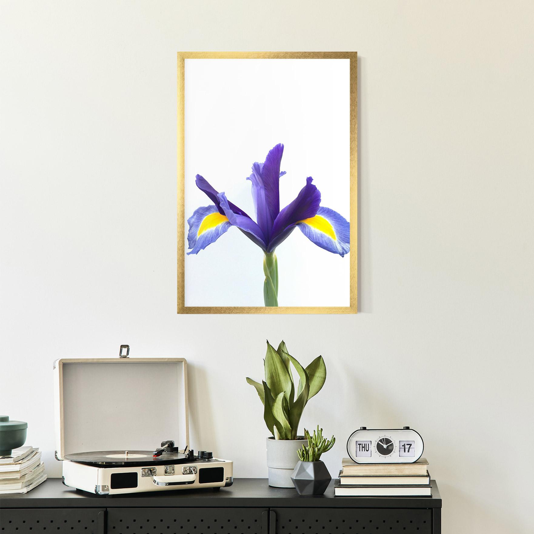 Gerahmte Poster Yellow Color Iris mockup 2