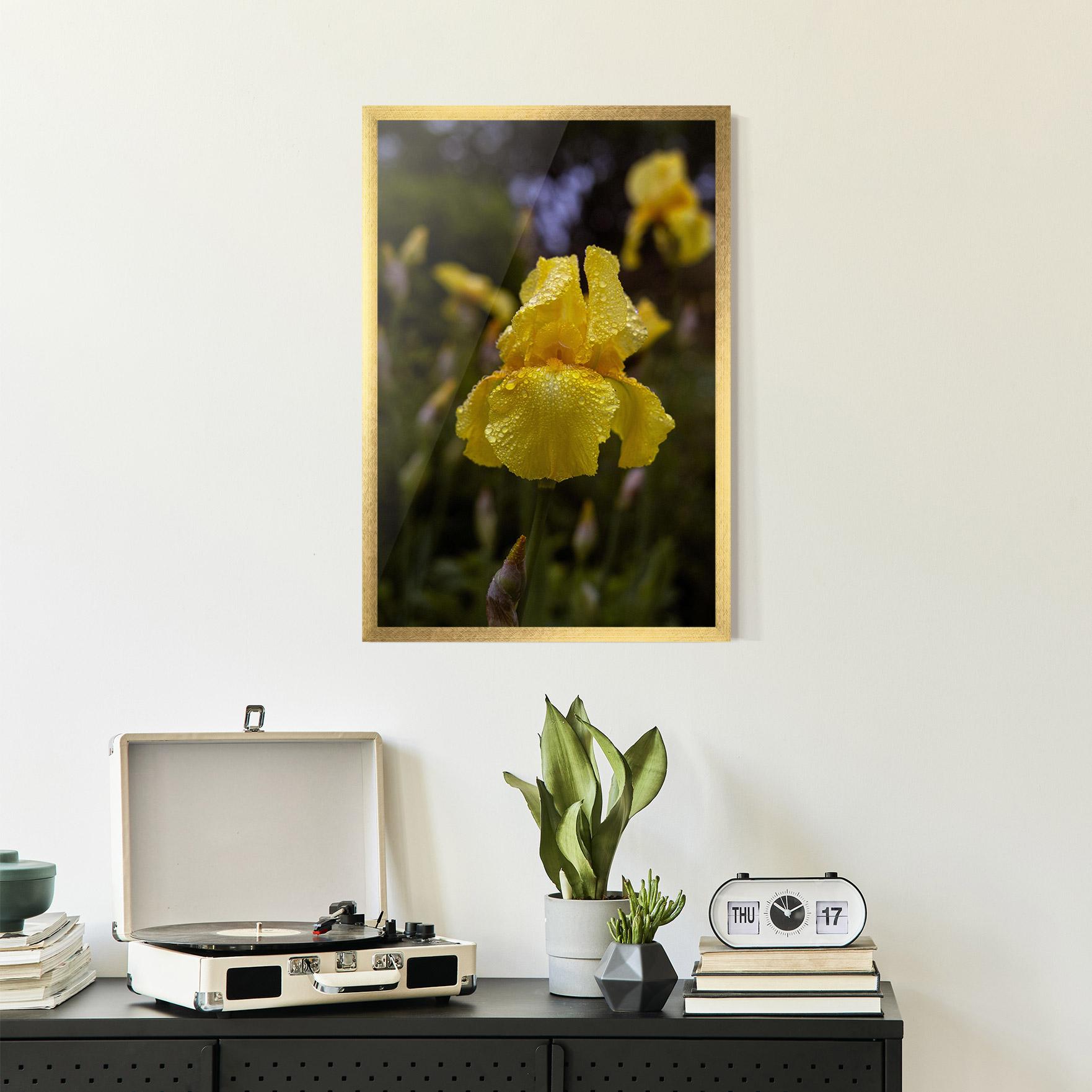 Gerahmte Poster Yellow Iris After Rain mockup 2