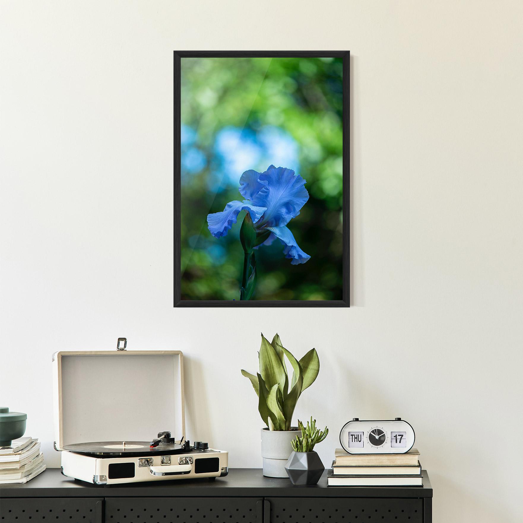 Gerahmte Poster Blue Iris In The Garden mockup 2